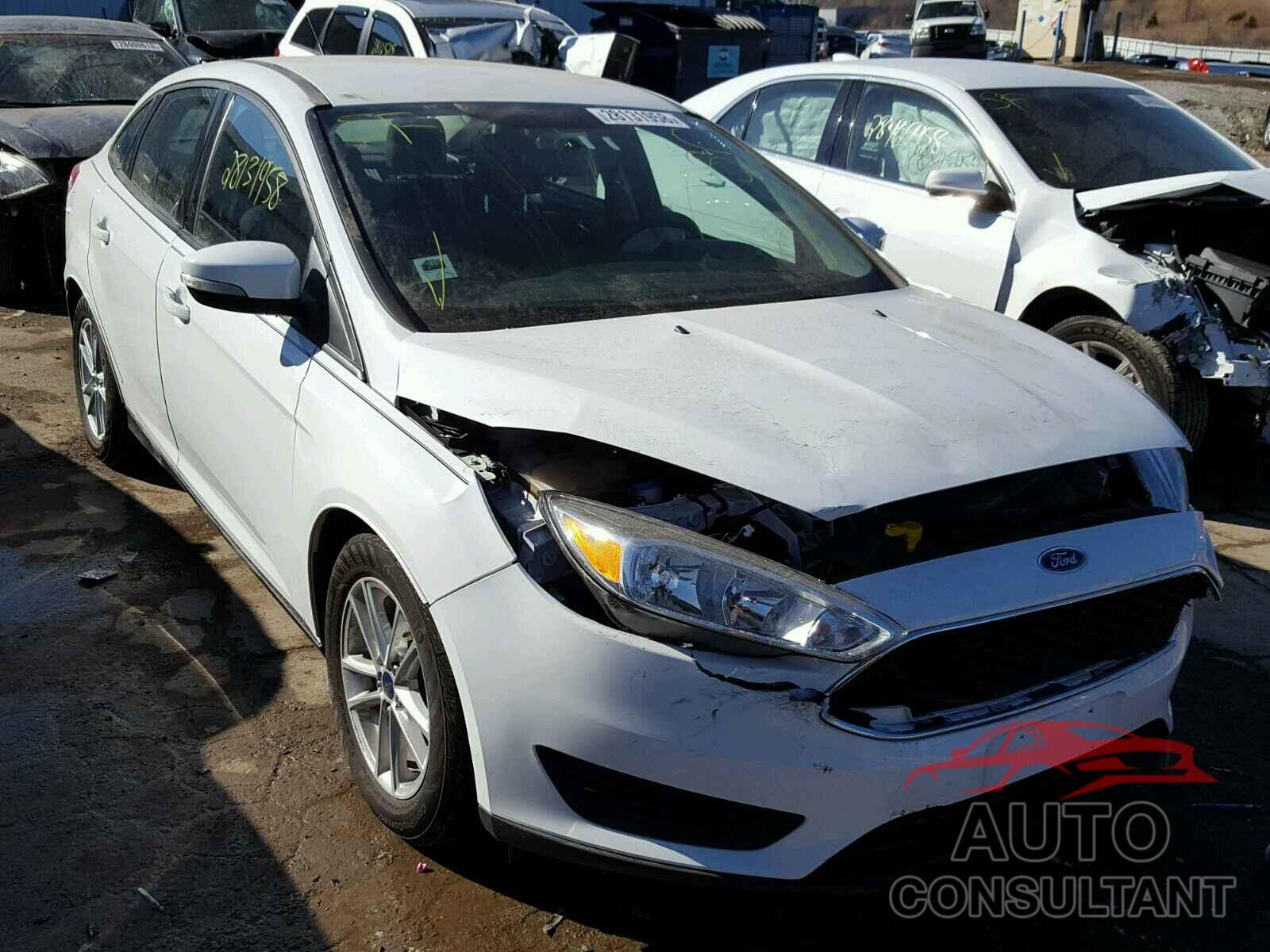 FORD FOCUS 2016 - 1FADP3F29GL377447