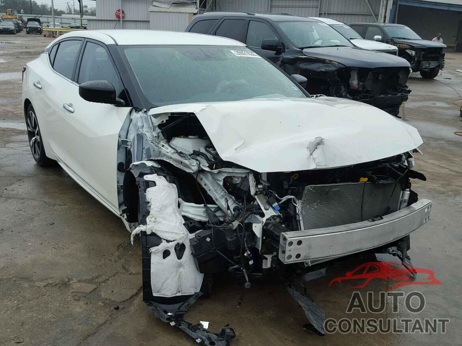 NISSAN MAXIMA 2017 - 1N4AA6APXHC360280