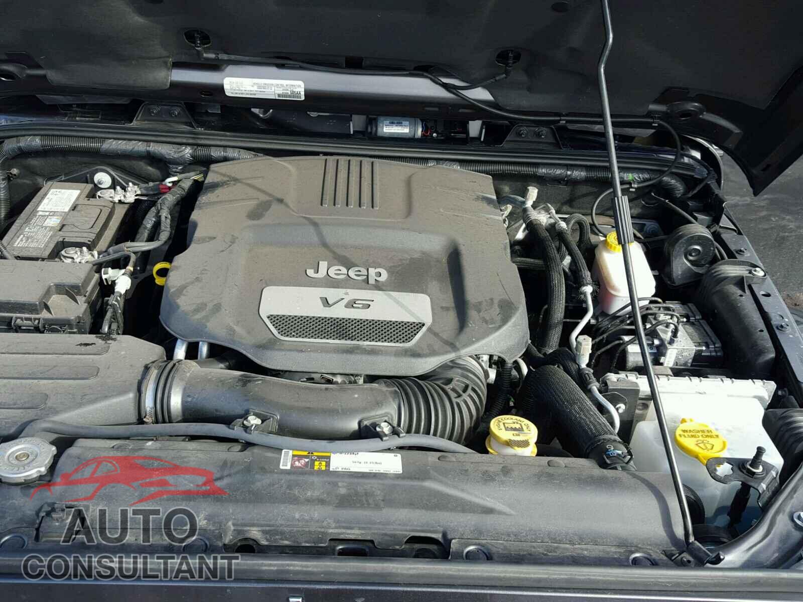JEEP WRANGLER 2016 - 1C4HJWEG2GL173519