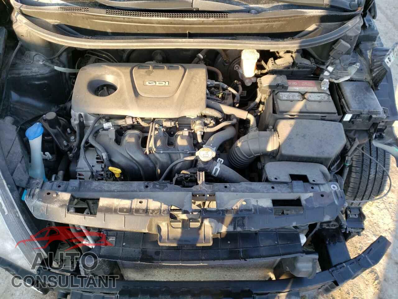 KIA RIO 2017 - KNADM4A35H6071657