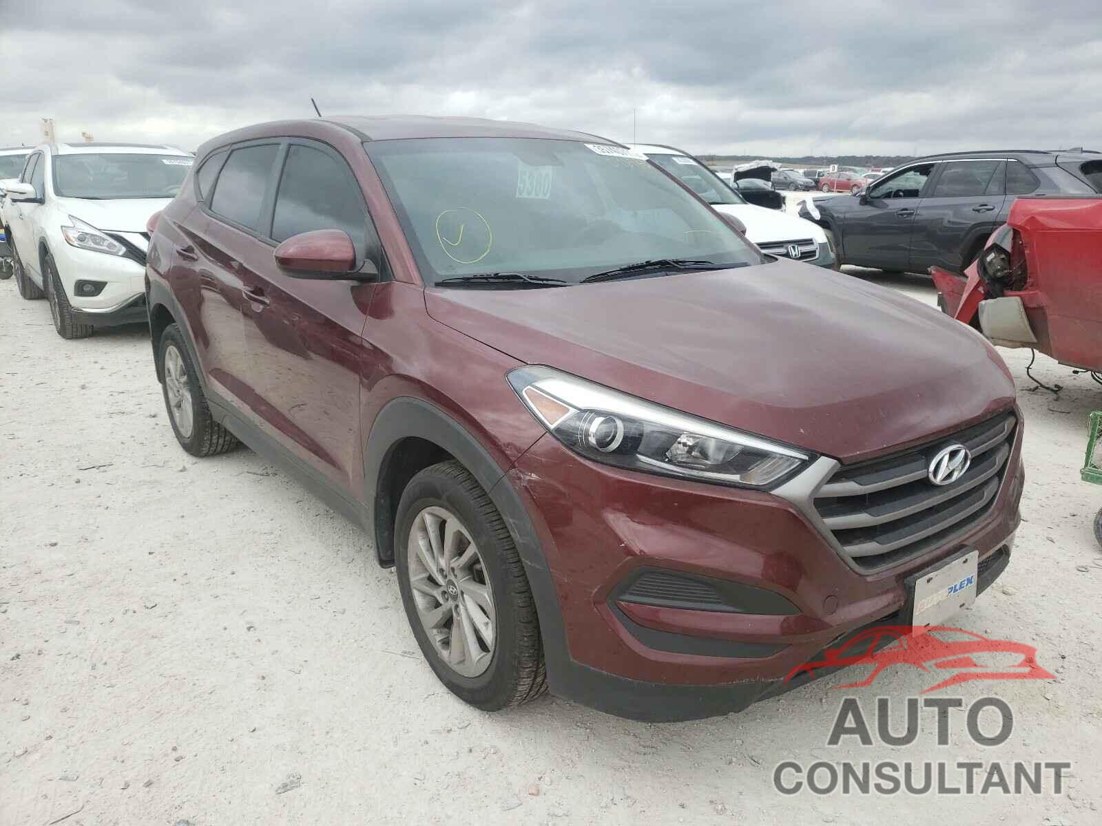 HYUNDAI TUCSON 2016 - KM8J23A43GU096576