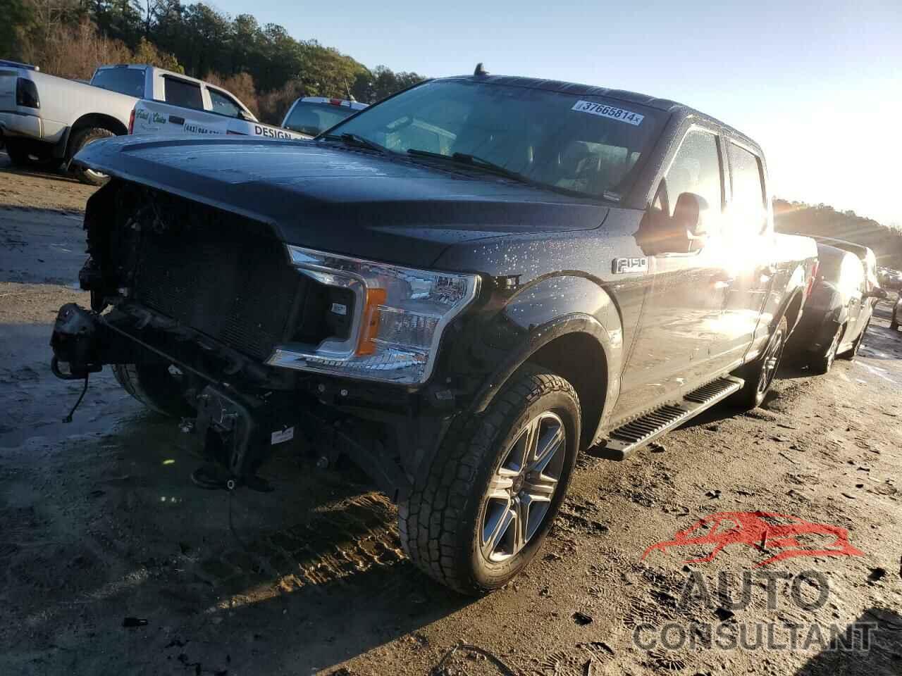 FORD F-150 2019 - 1FTFW1E57KFA49795