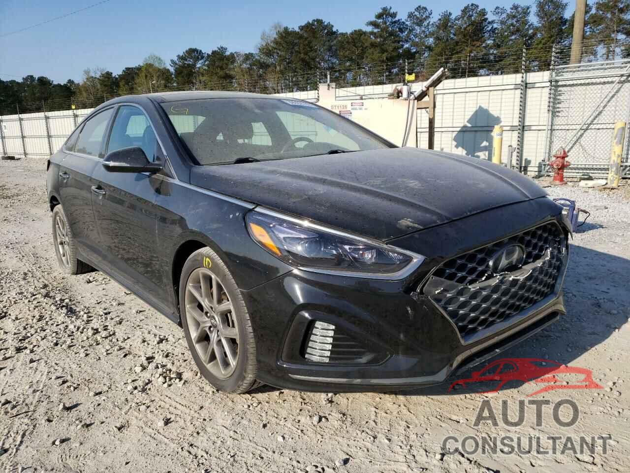 HYUNDAI SONATA 2019 - 5NPE34AB0KH774713
