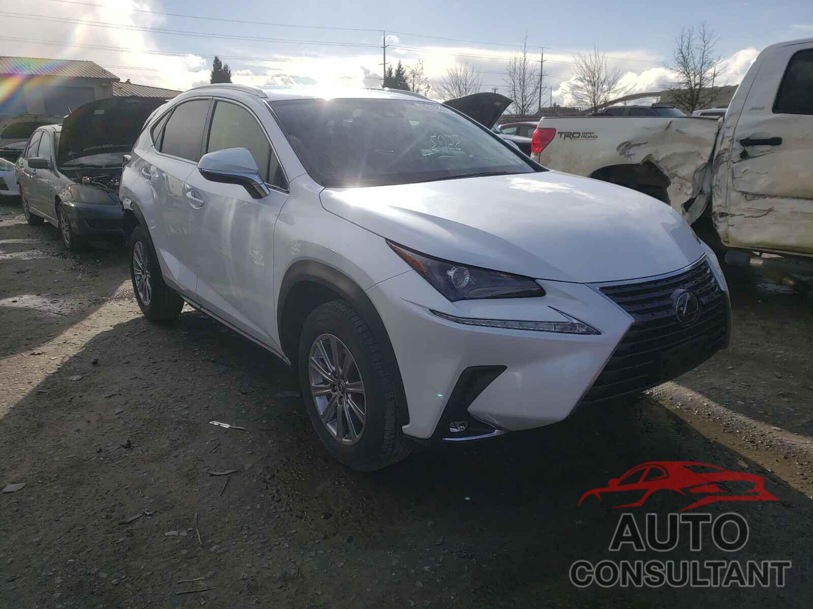 LEXUS NX 2020 - JTJAARDZ4L5016611