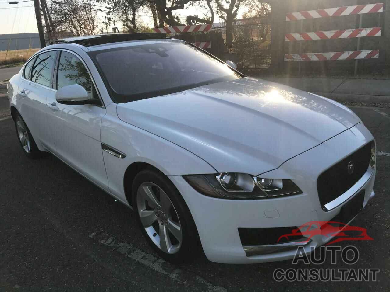 JAGUAR XF 2018 - SAJBR4FX4JCY69521