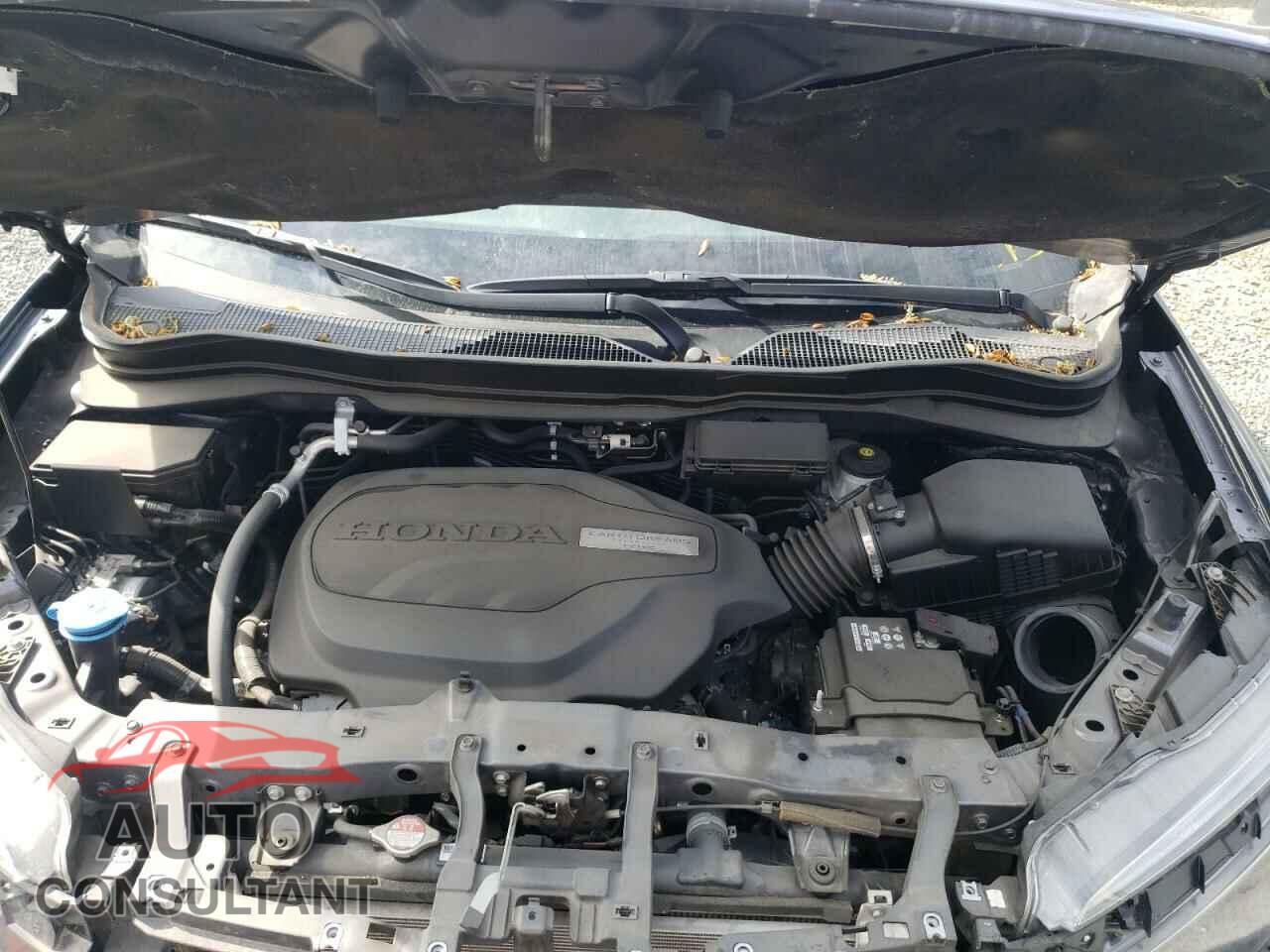 HONDA RIDGELINE 2019 - 5FPYK3F51KB034350