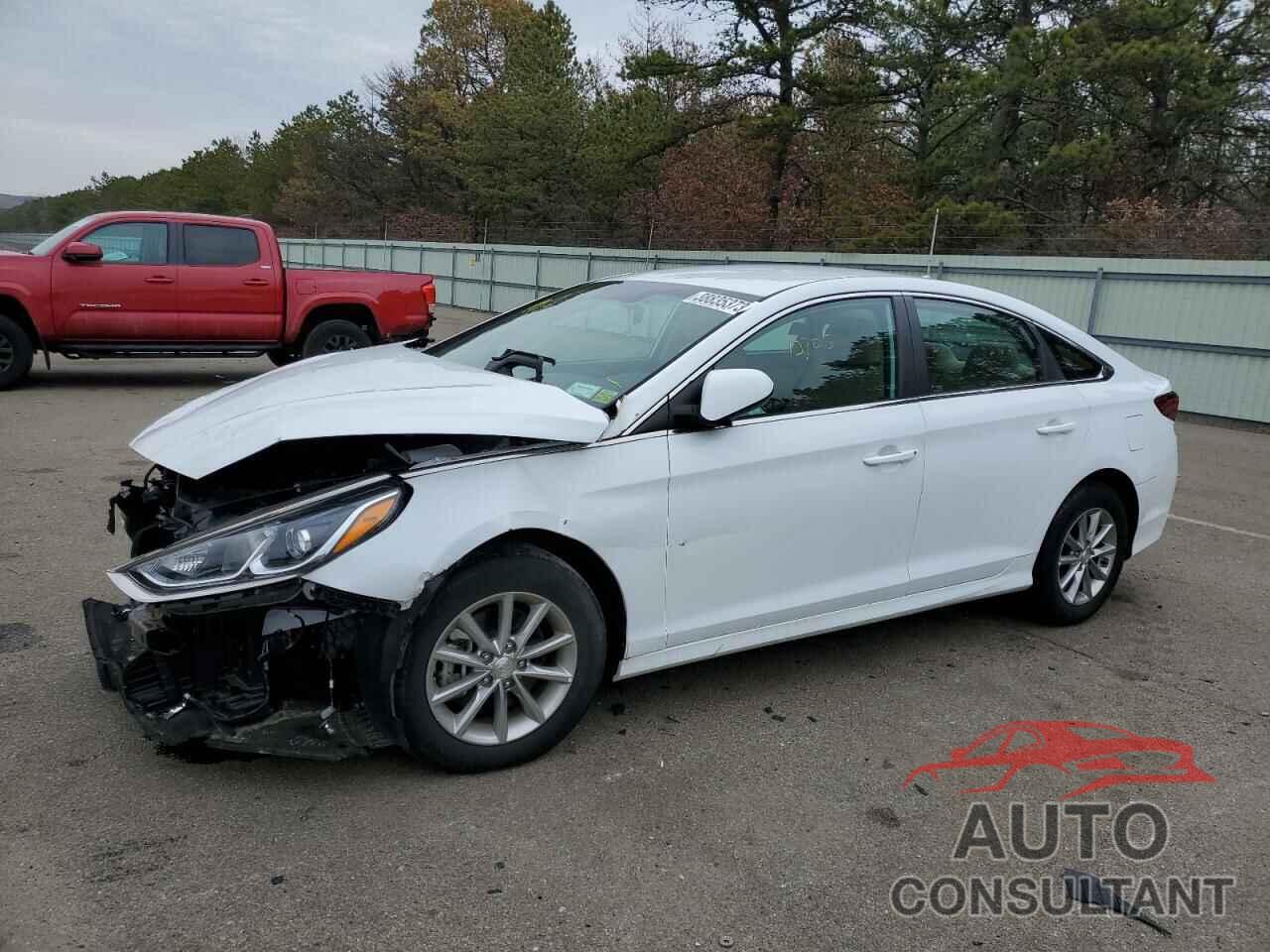 HYUNDAI SONATA 2019 - 5NPE24AF6KH759039