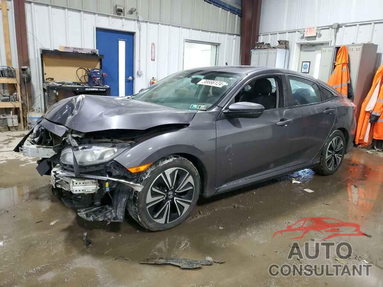 HONDA CIVIC 2016 - 19XFC1F31GE016444