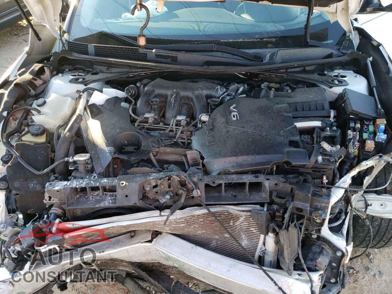 NISSAN MAXIMA 2017 - 1N4AA6AP7HC454357