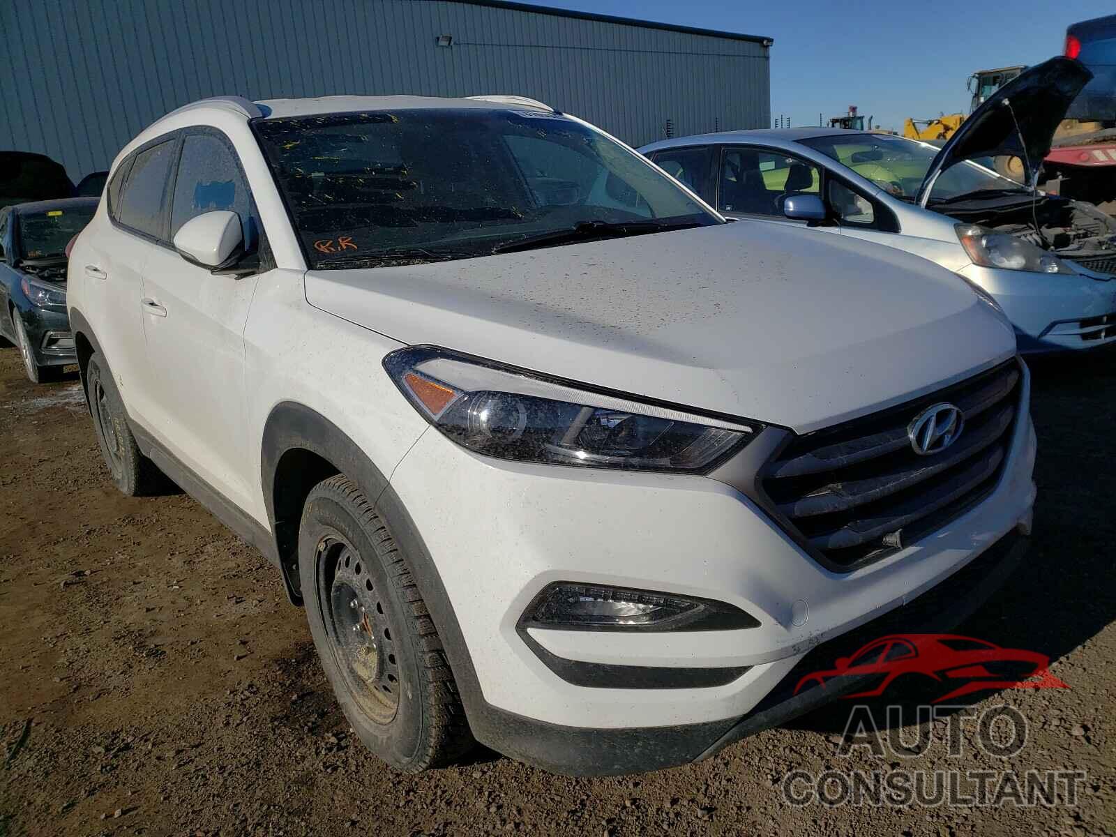 HYUNDAI TUCSON 2016 - KM8J33A47GU054747