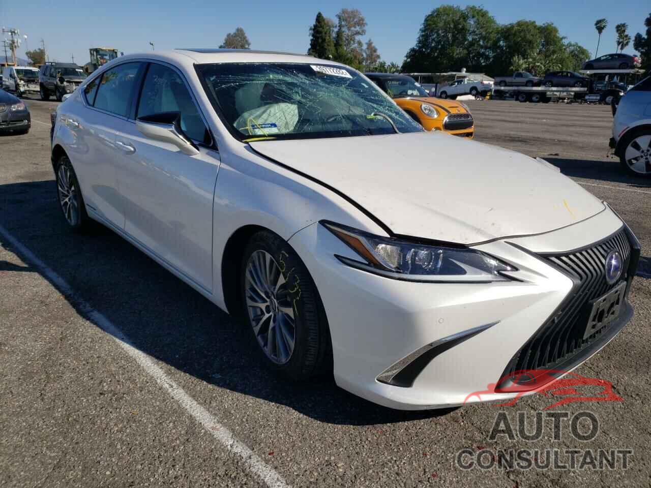 LEXUS ES300 2020 - 58AD21B15LU010743