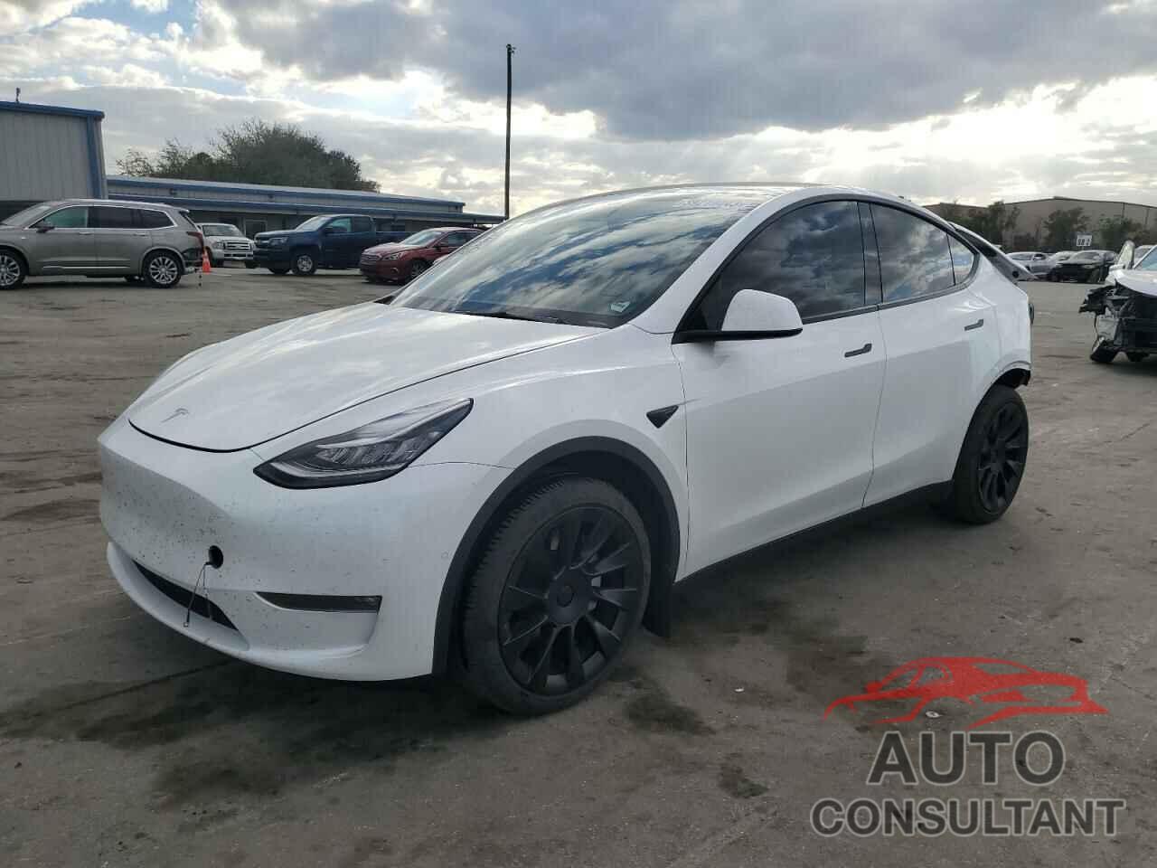 TESLA MODEL Y 2021 - 5YJYGDEEXMF273495