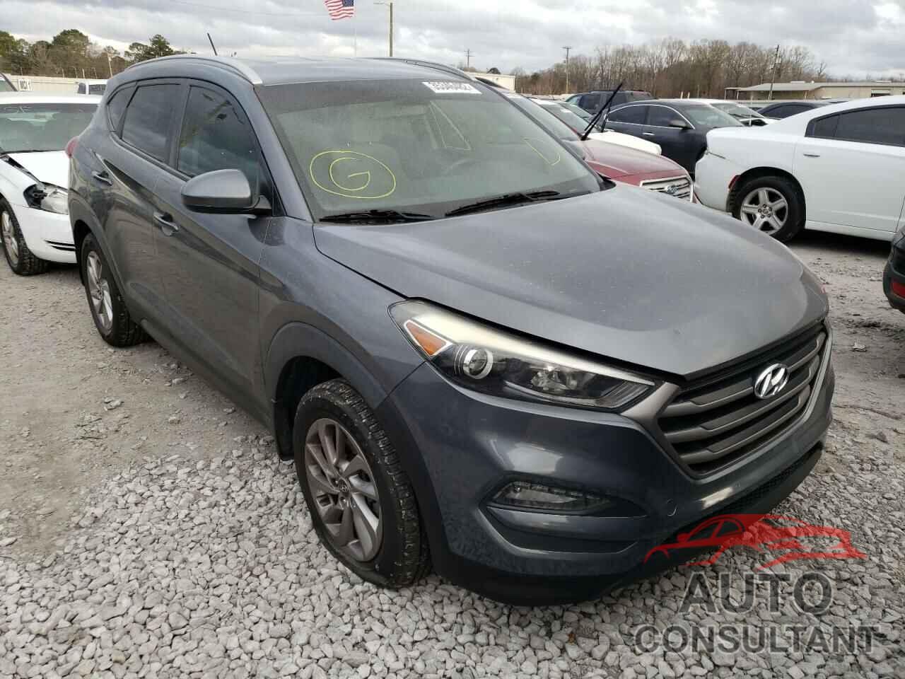 HYUNDAI TUCSON 2016 - KM8J33A47GU124134
