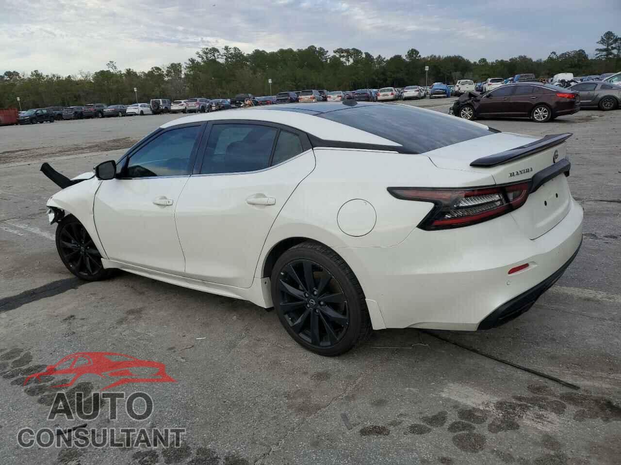 NISSAN MAXIMA 2023 - 1N4AA6EV5PC501683