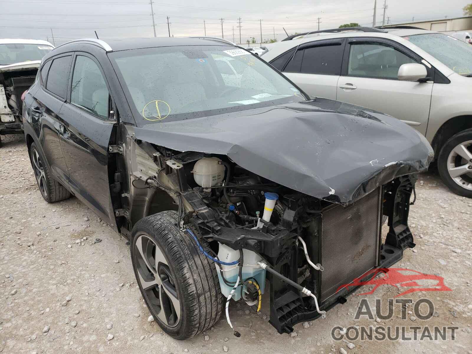 HYUNDAI TUCSON 2017 - KM8J33A24HU339244