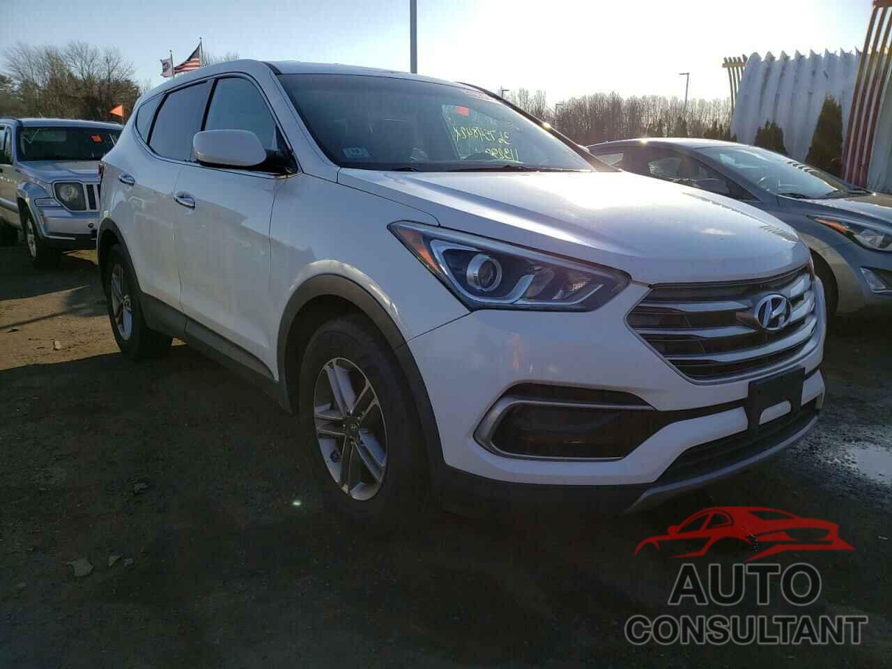 HYUNDAI SANTA FE 2017 - 5NMZTDLB8HH010919