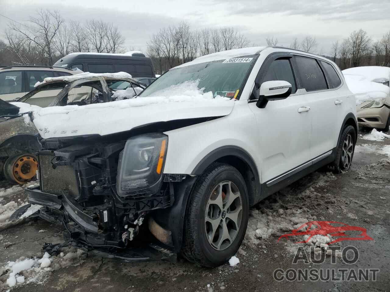 KIA TELLURIDE 2020 - 5XYP3DHC0LG037303