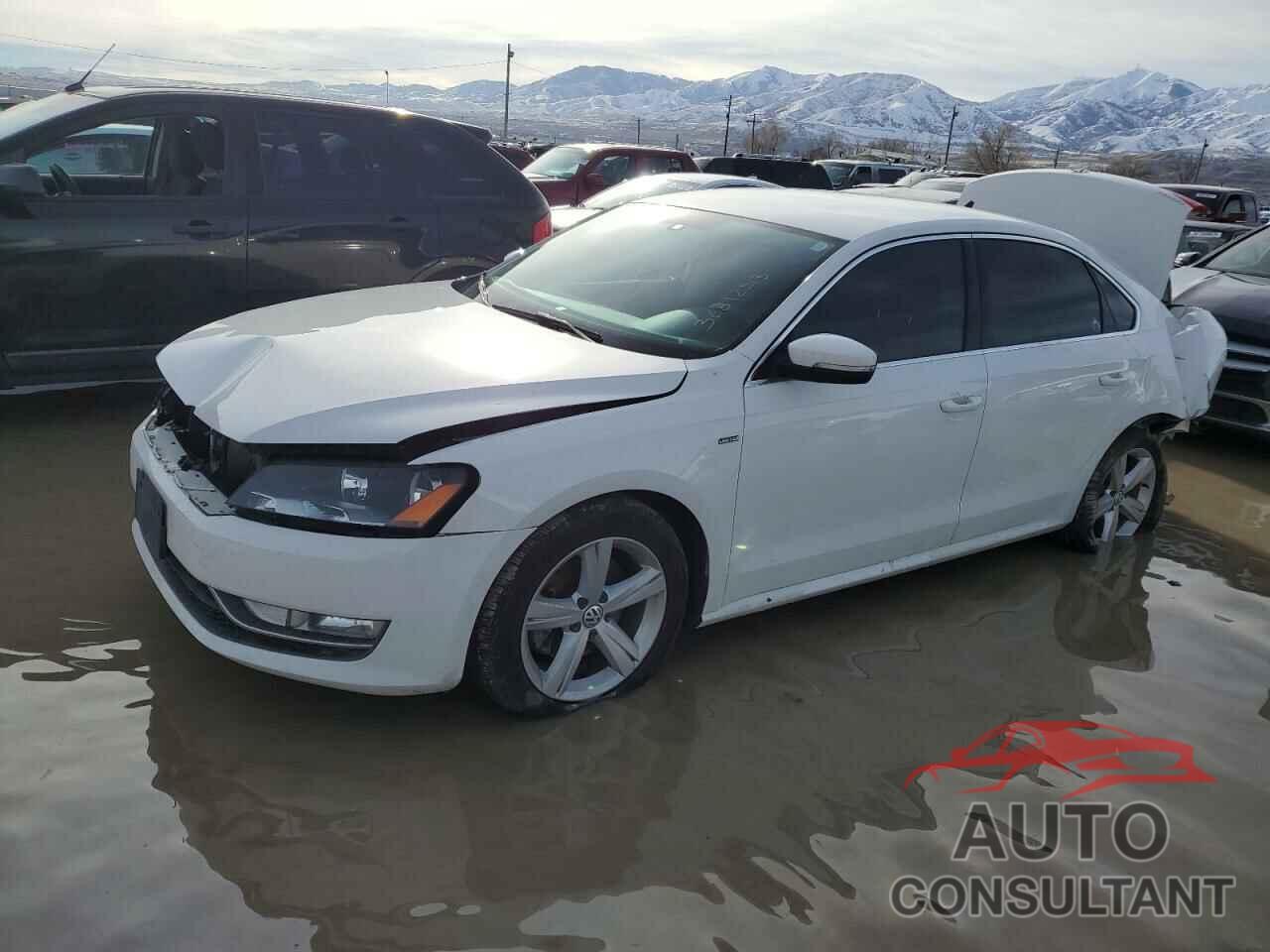 VOLKSWAGEN PASSAT 2015 - 1VWAT7A30FC105655
