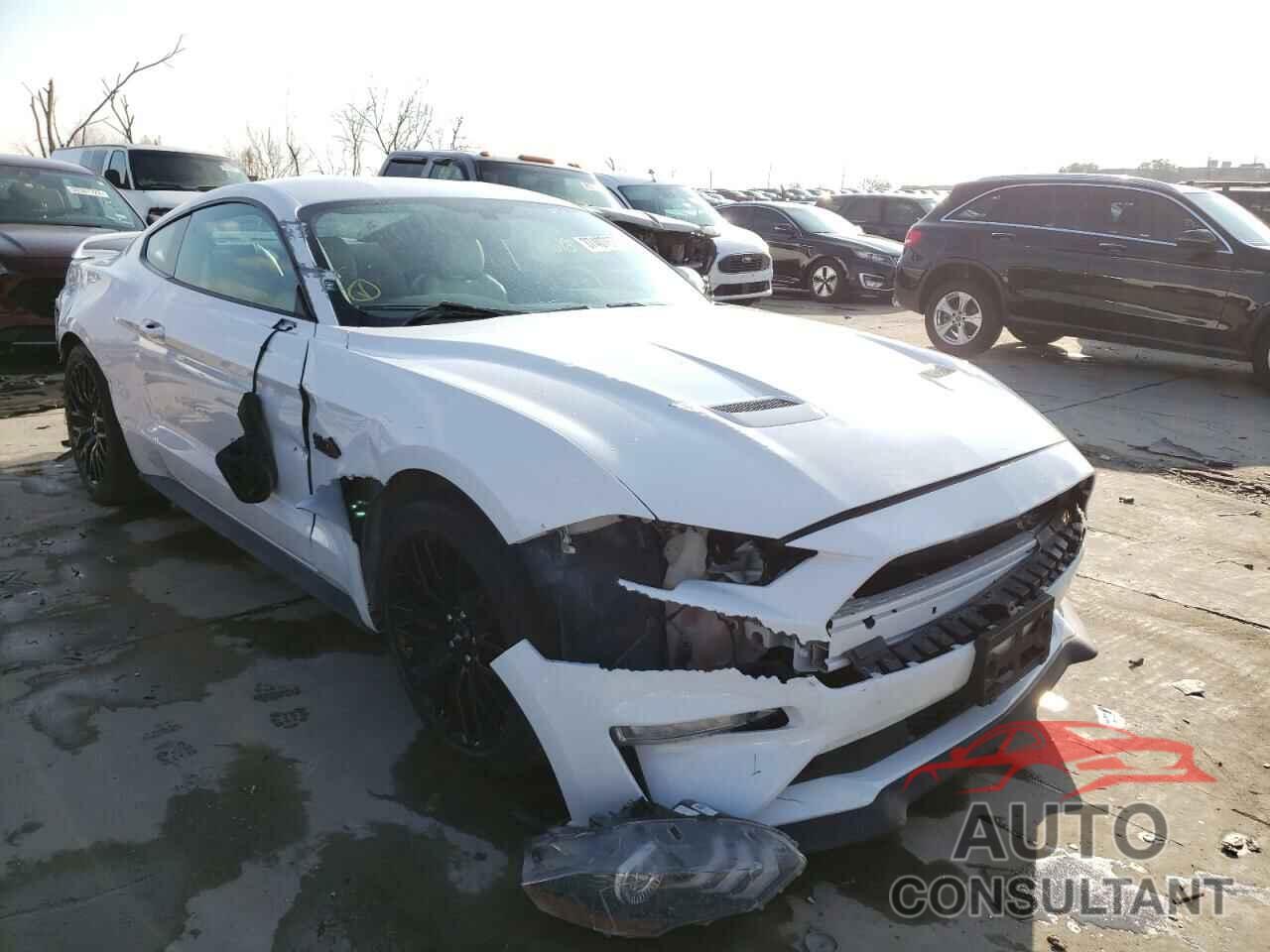 FORD MUSTANG 2019 - 1FA6P8CF6K5192606