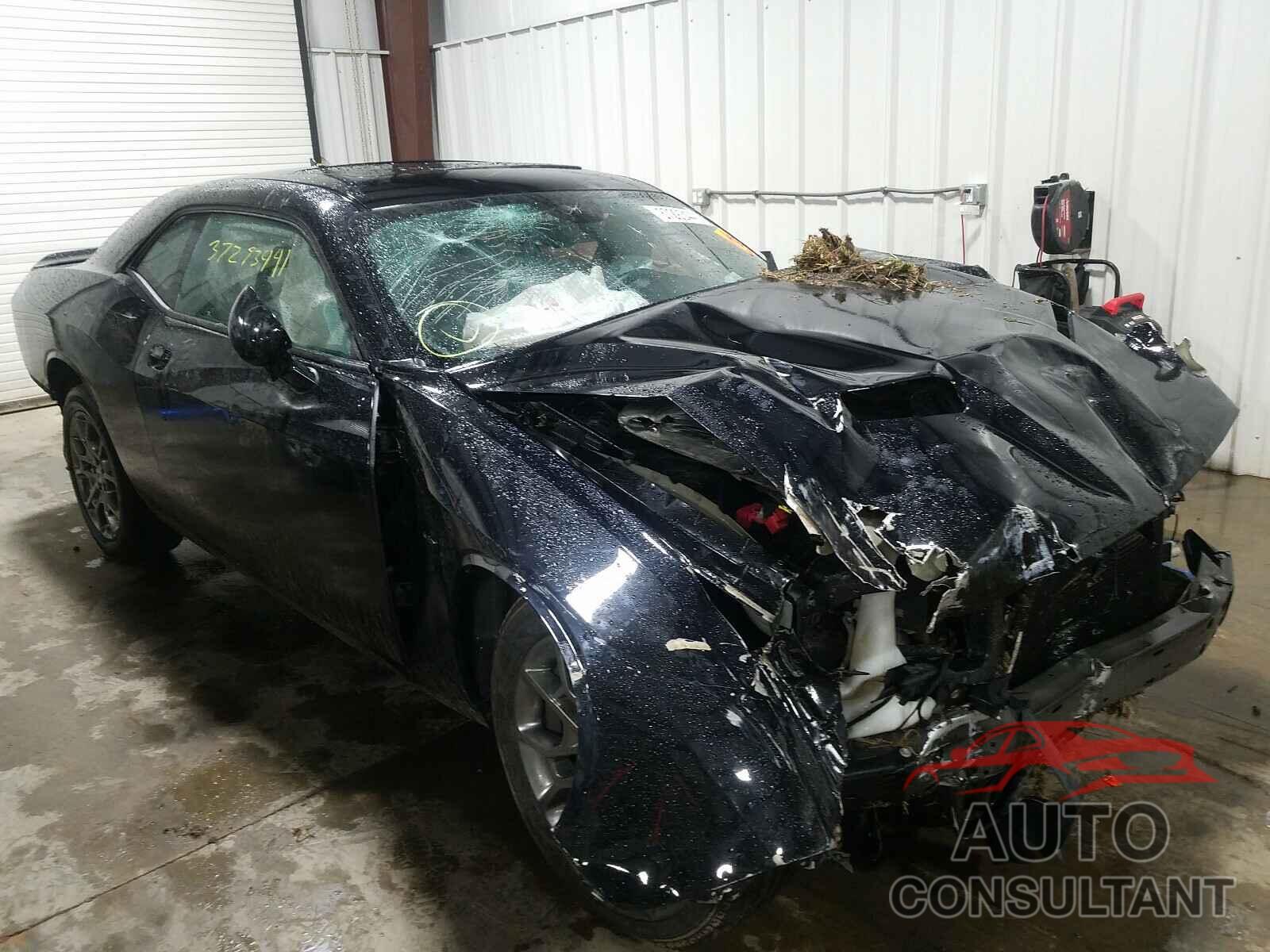 DODGE CHALLENGER 2017 - 2C3CDZGG9HH641118