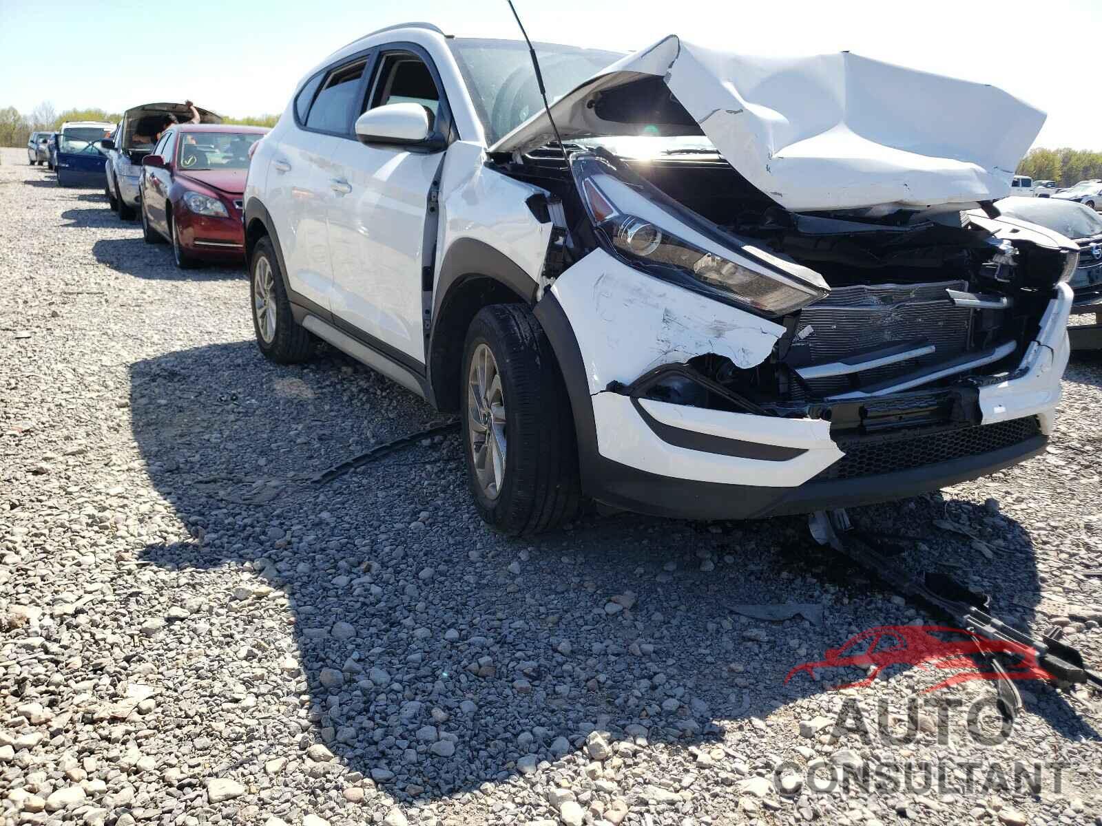 HYUNDAI TUCSON 2017 - KM8J33A41HU511537