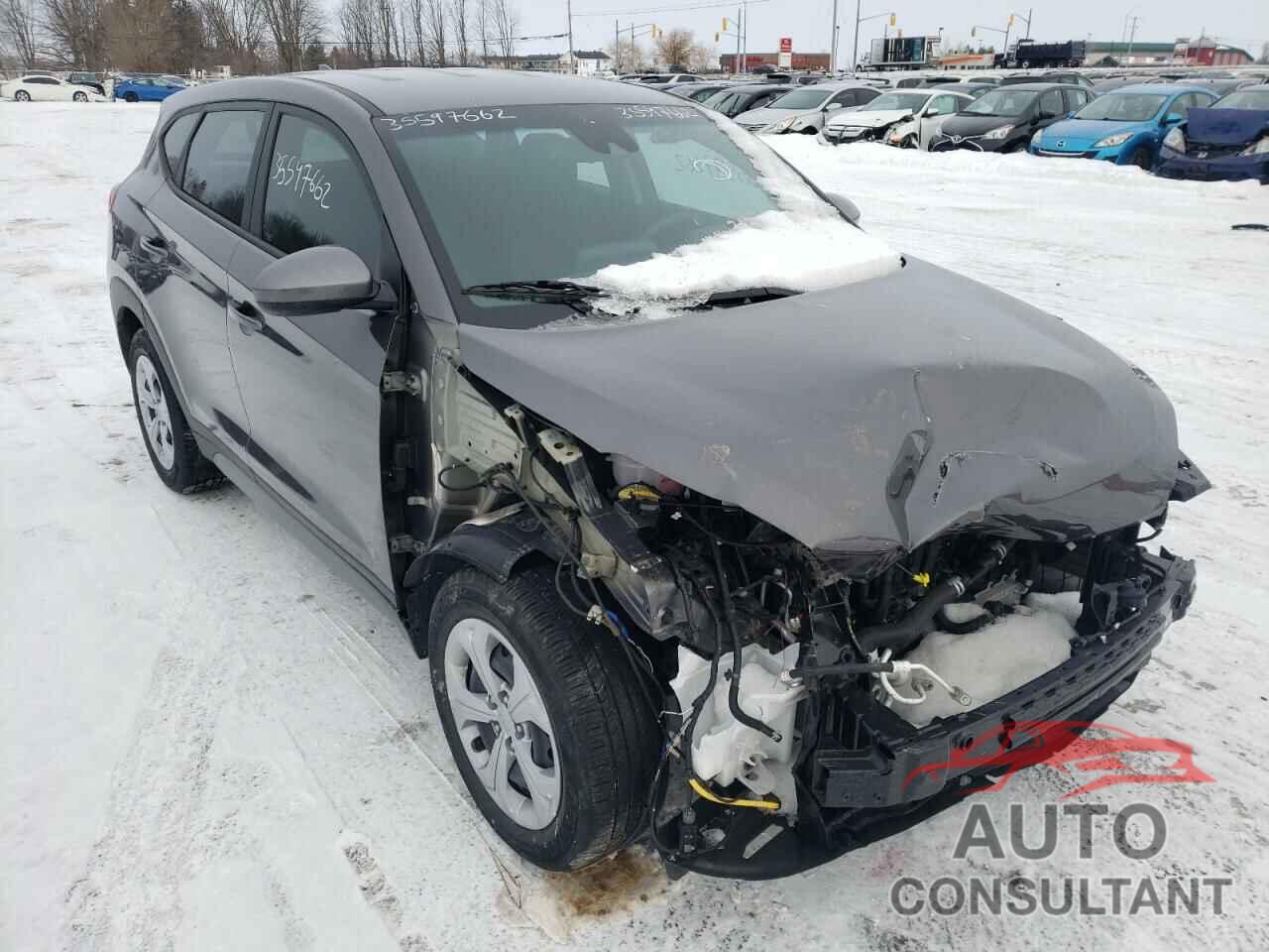 HYUNDAI TUCSON 2021 - KM8J2CA41MU371311