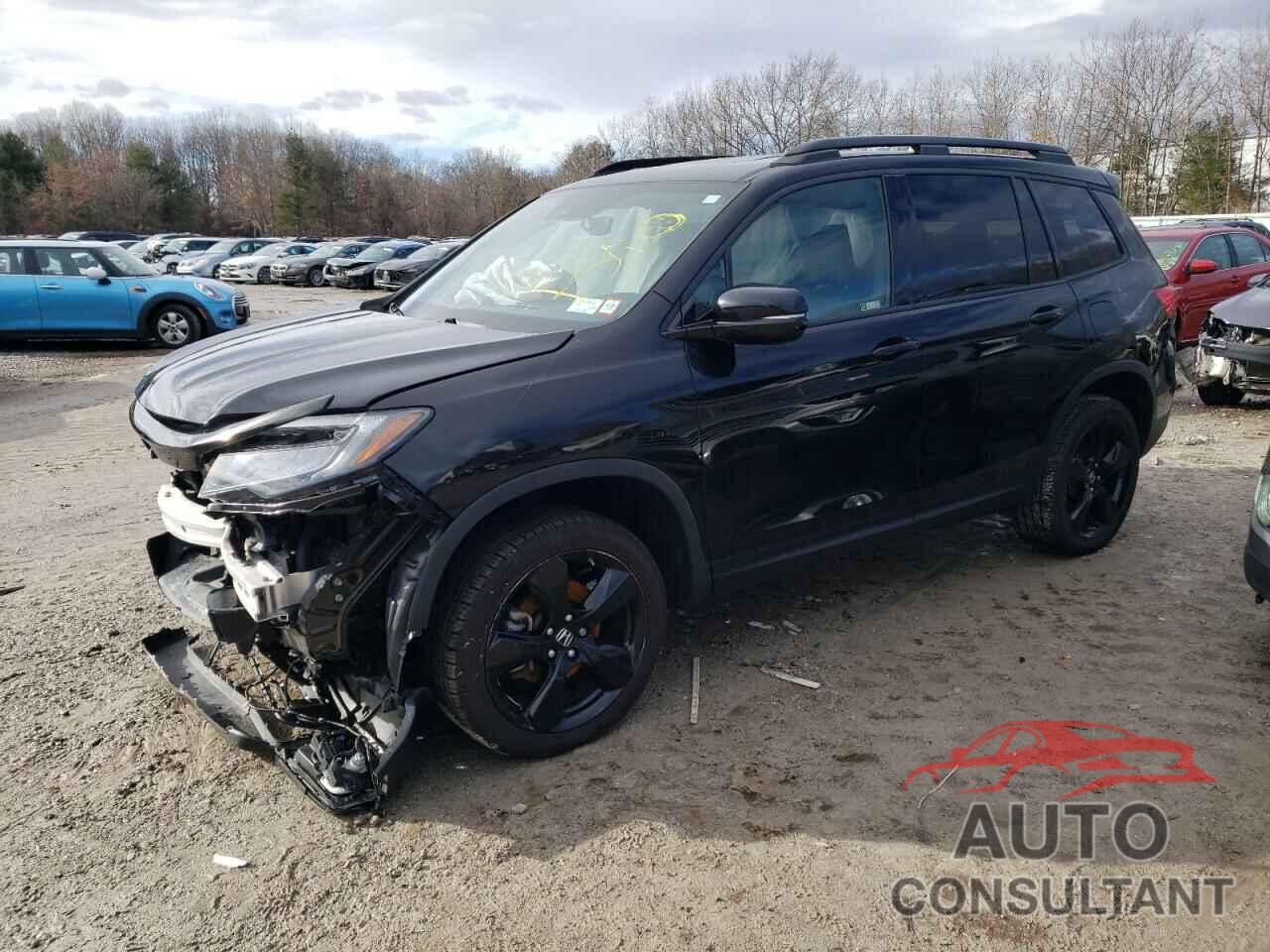 HONDA PASSPORT 2019 - 5FNYF8H05KB002173