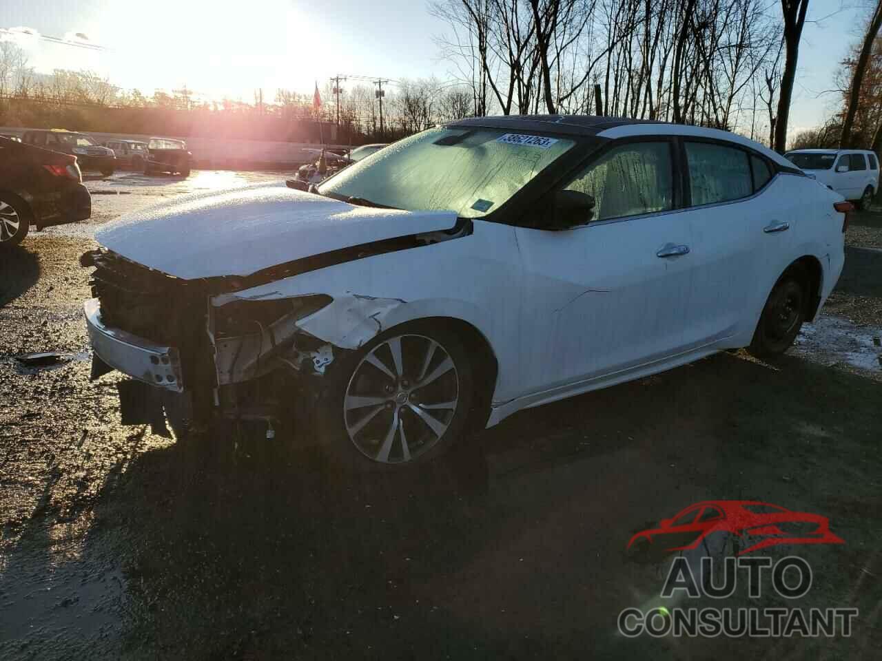 NISSAN MAXIMA 2016 - 1N4AA6APXGC408083