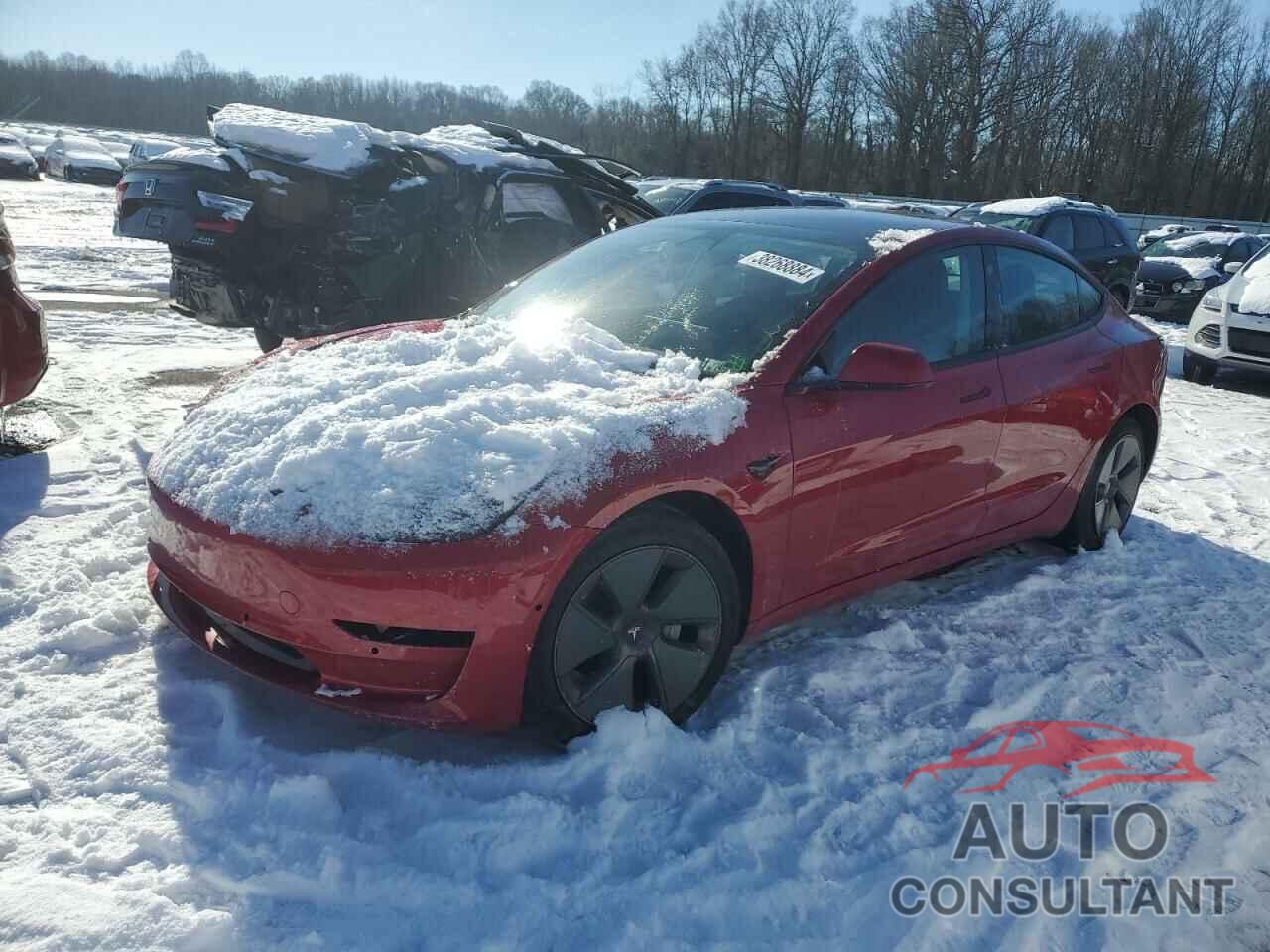 TESLA MODEL 3 2022 - 5YJ3E1EB3NF181196