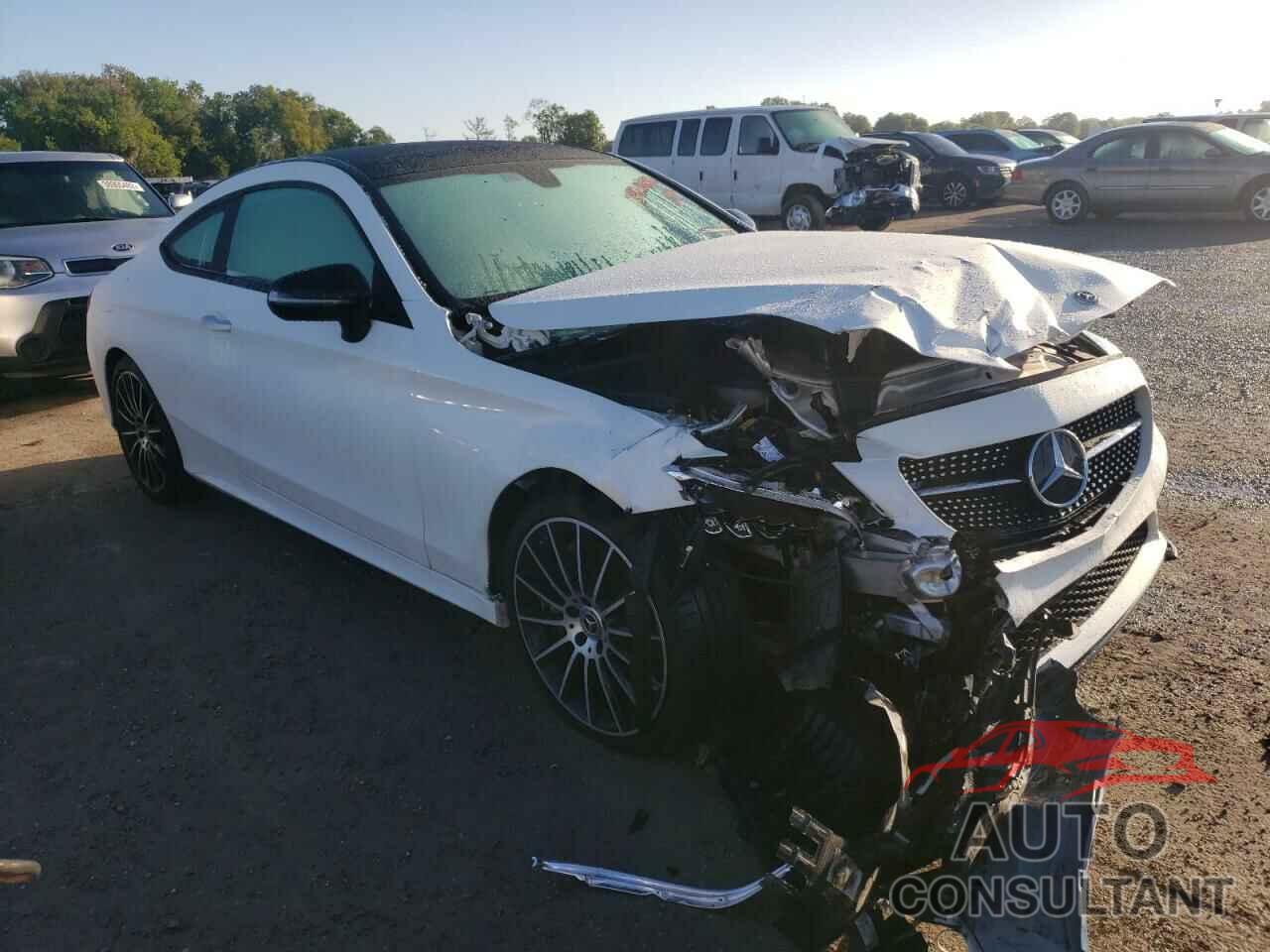 MERCEDES-BENZ C-CLASS 2019 - WDDWJ8DB2KF802654
