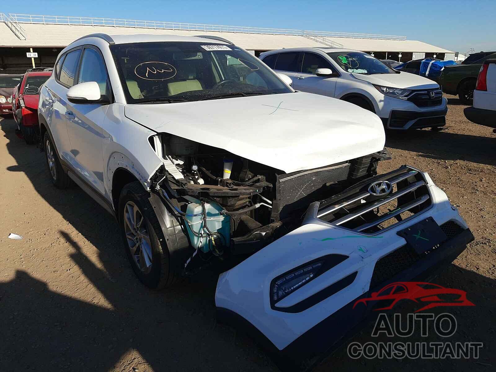 HYUNDAI TUCSON 2017 - KM8J33A49HU504870