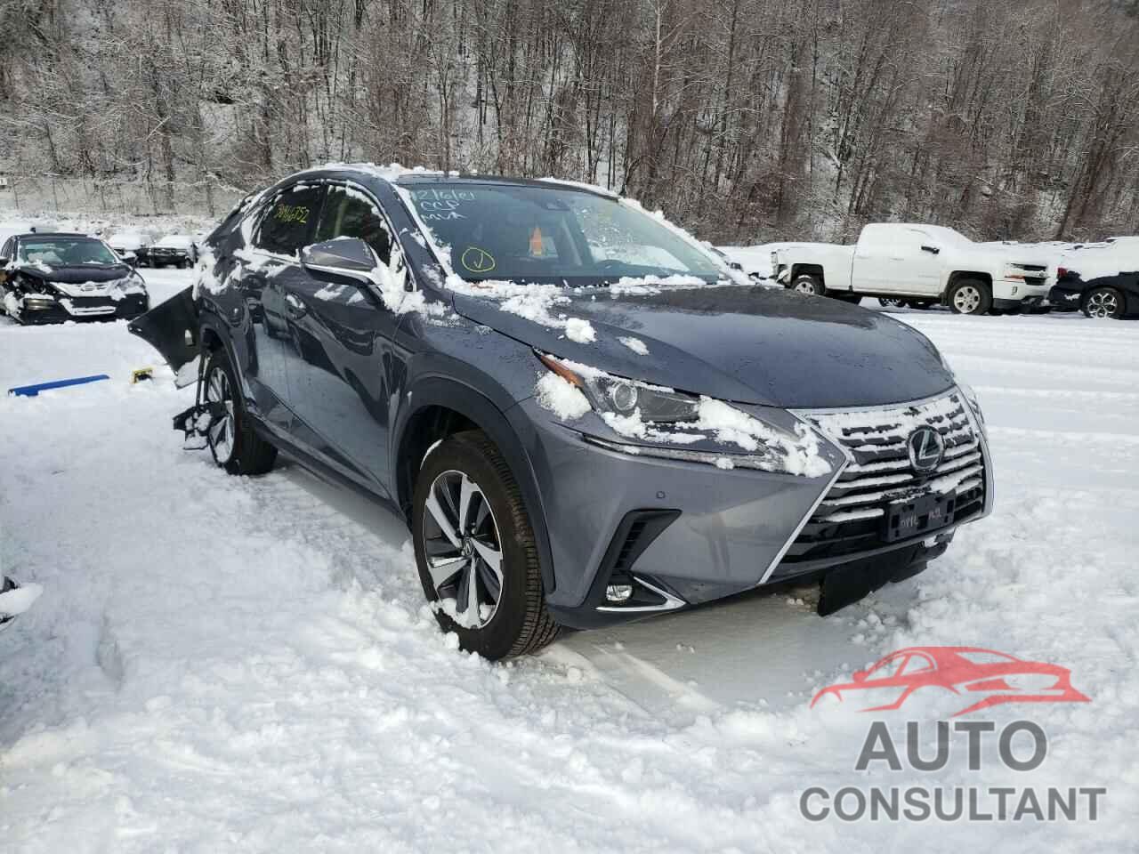 LEXUS NX 2020 - JTJGARDZ7L5010442