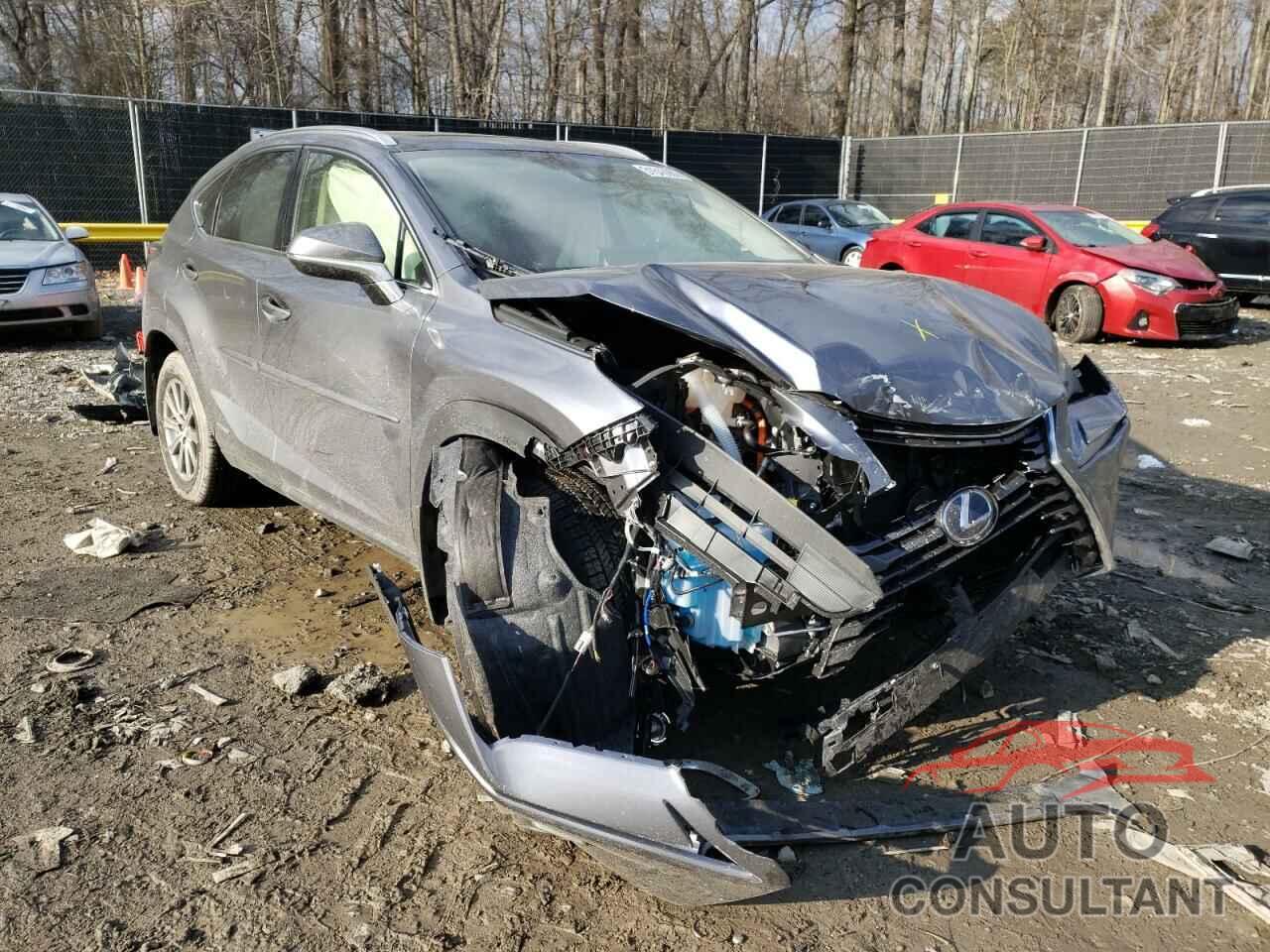 LEXUS NX 2021 - JTJDJRDZ7M2169628