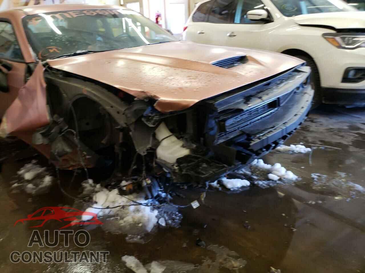 DODGE CHALLENGER 2019 - 2C3CDZKG6KH666766