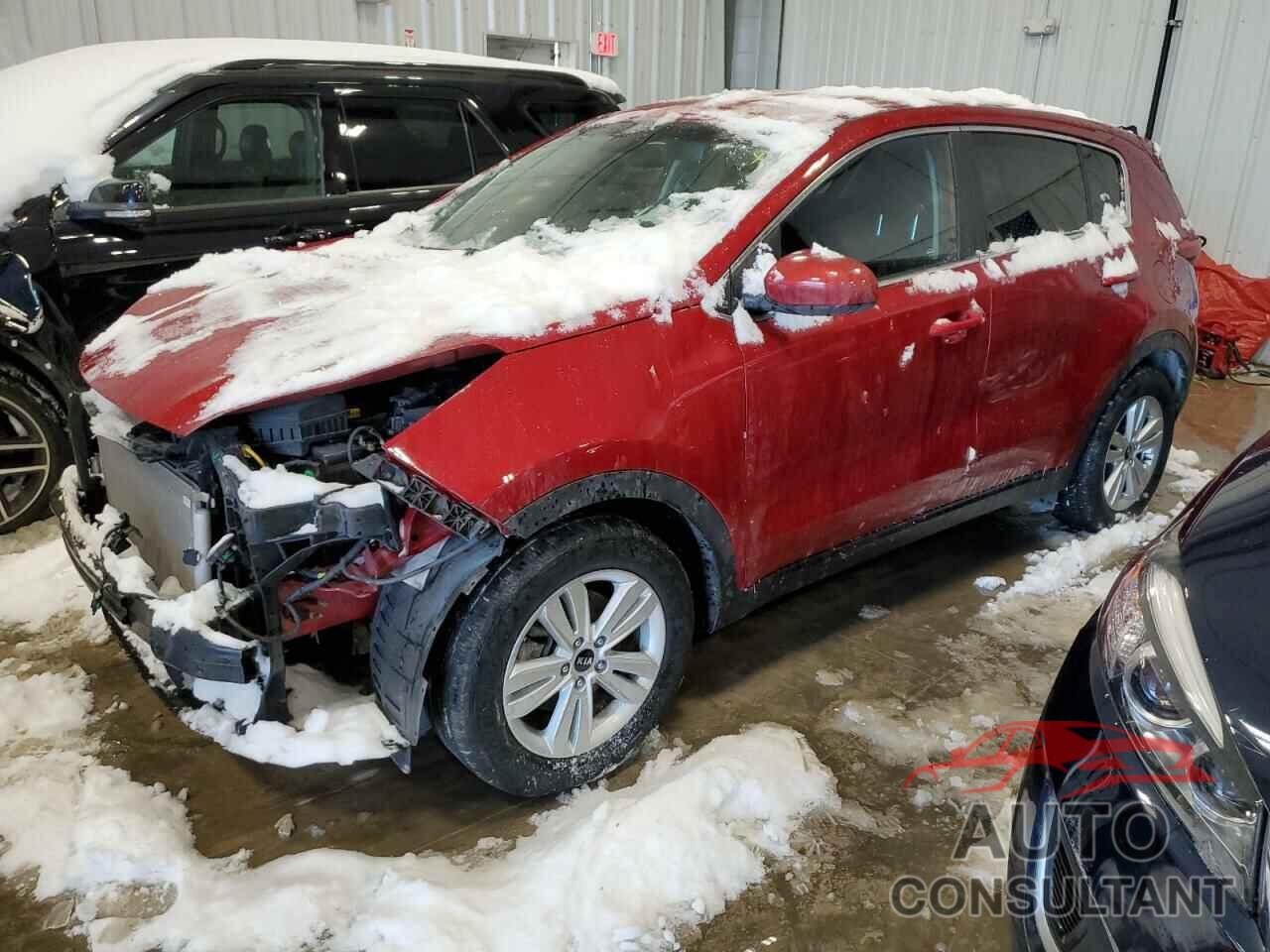 KIA SPORTAGE 2019 - KNDPM3AC2K7599703