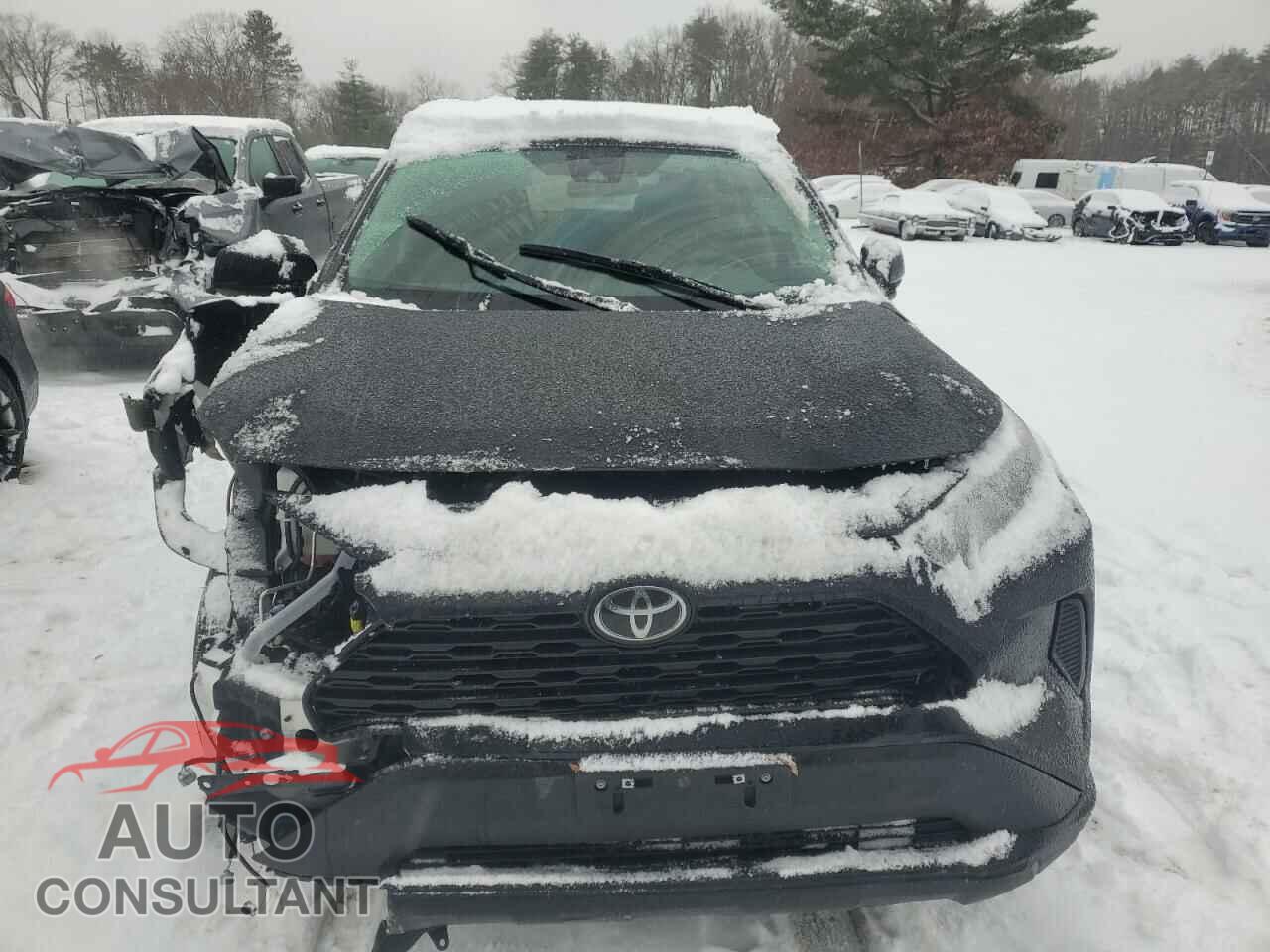 TOYOTA RAV4 2021 - 2T3F1RFV1MC215744