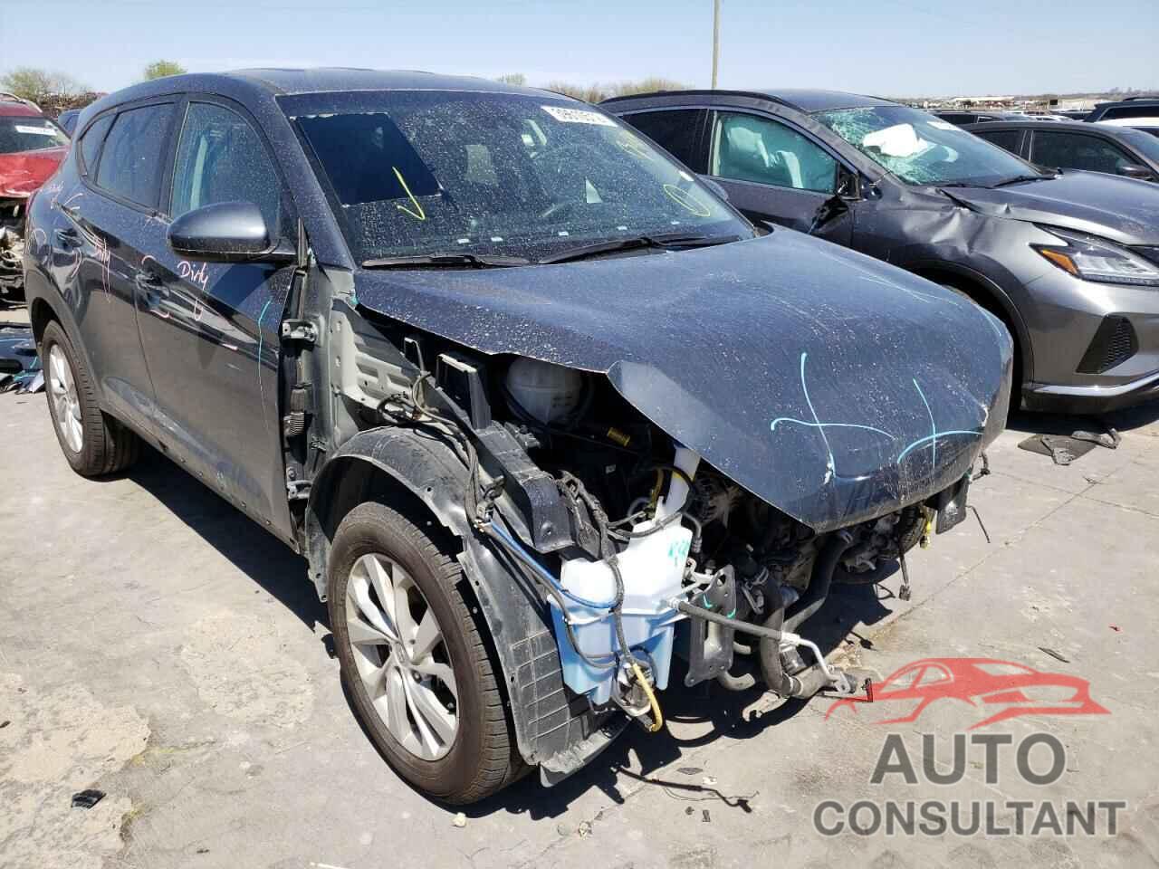 HYUNDAI TUCSON 2019 - KM8J2CA44KU872514