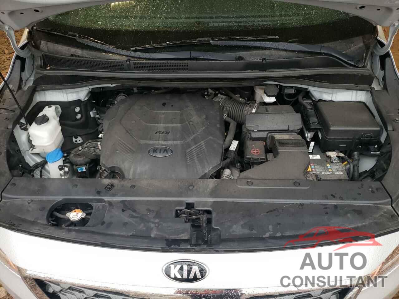 KIA All Models 2020 - KNDMB5C13L6577152