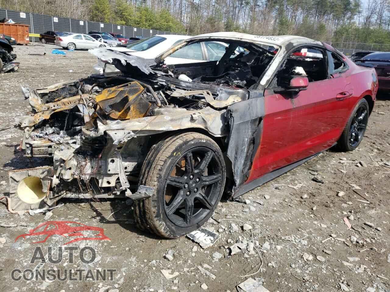 FORD MUSTANG 2019 - 1FA6P8CF1K5114881