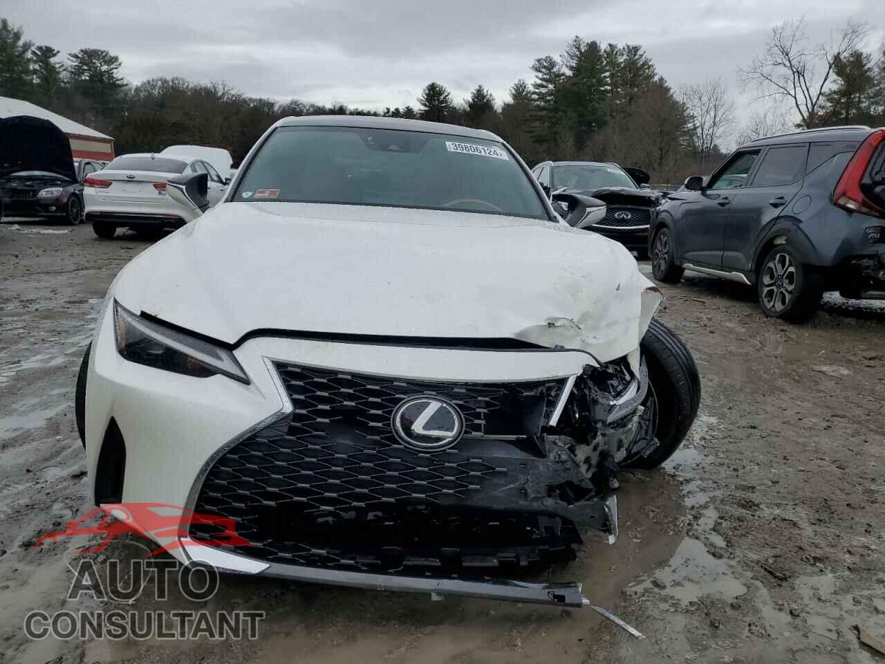LEXUS IS 2021 - JTHAA1D21M5113773