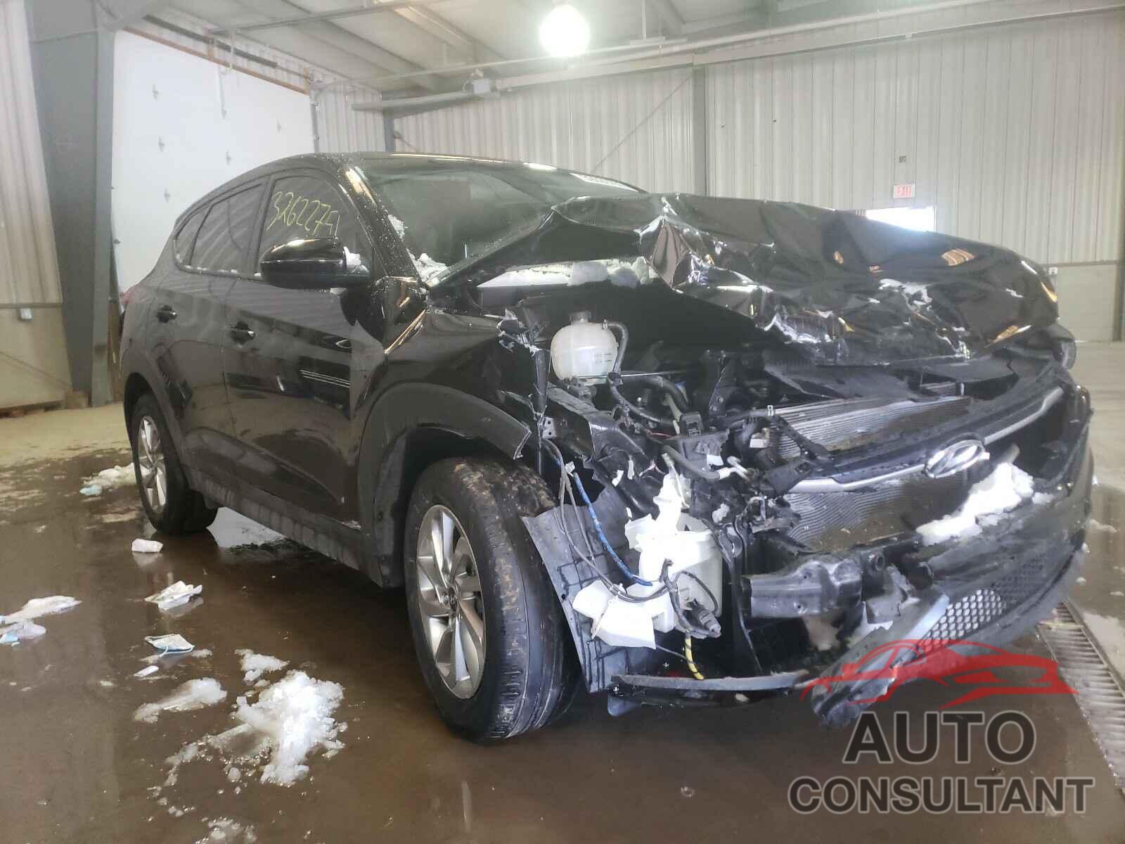 HYUNDAI TUCSON 2018 - KM8J2CA49JU659699