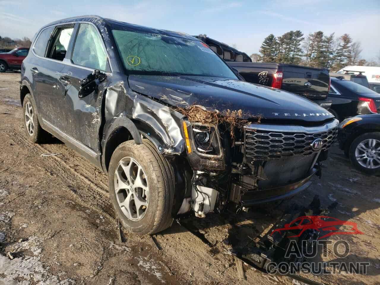 KIA TELLURIDE 2020 - 5XYP3DHC9LG039437