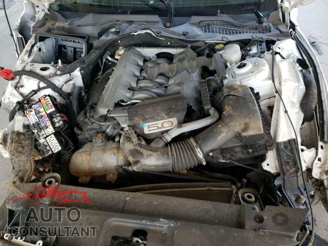 FORD MUSTANG 2017 - 1FA6P8CF8H5259022