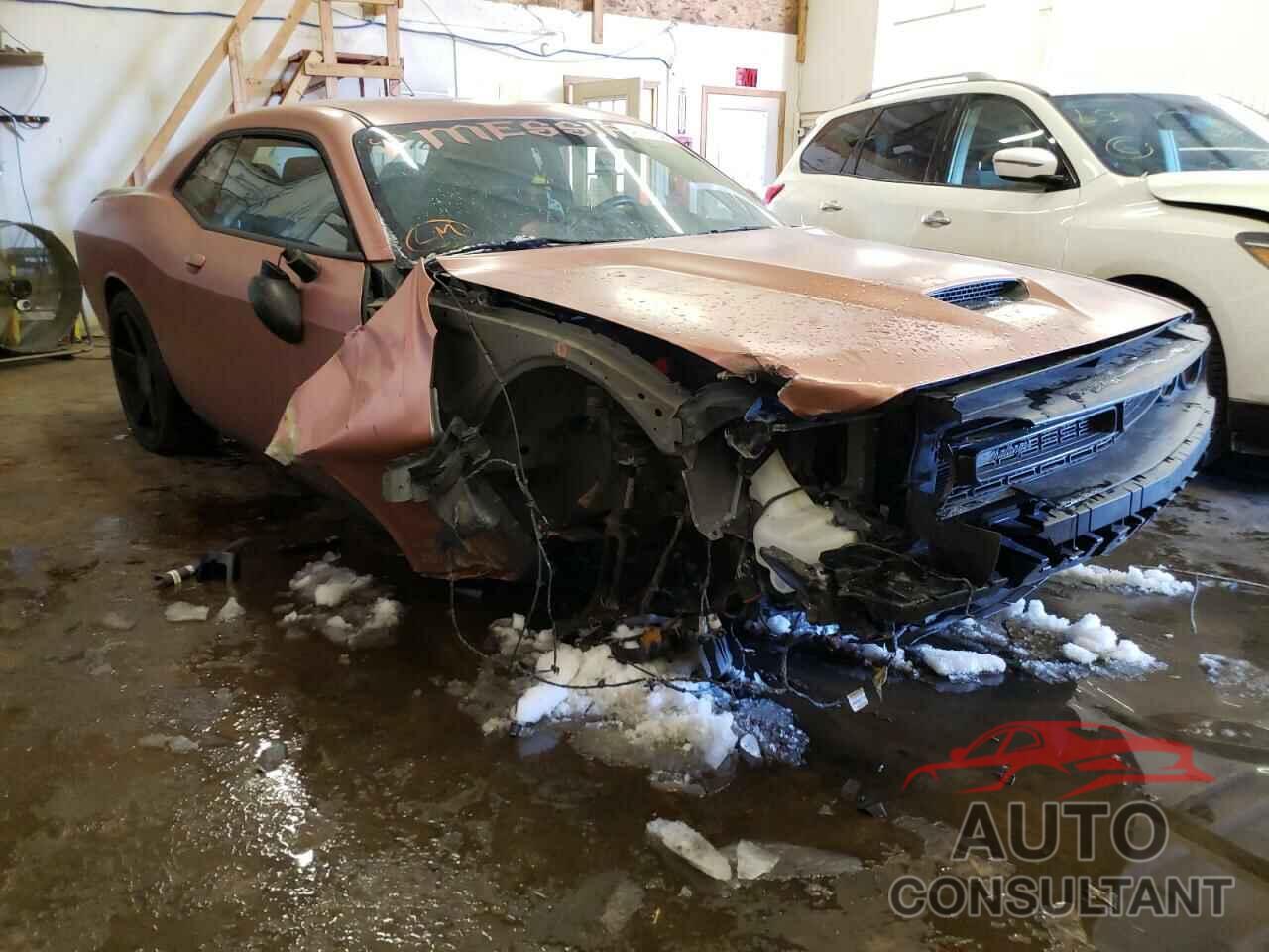 DODGE CHALLENGER 2019 - 2C3CDZKG6KH666766
