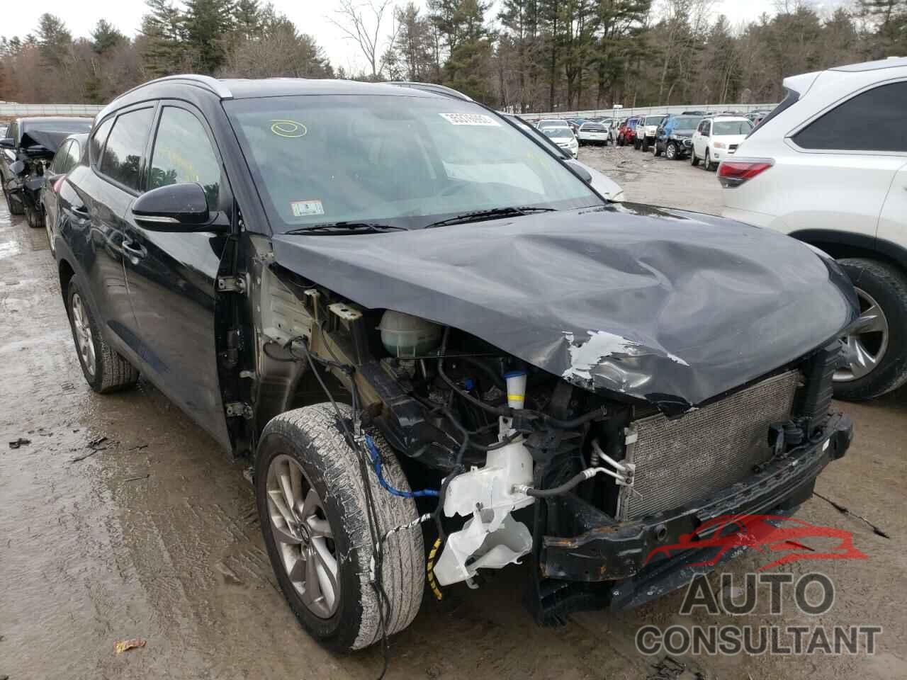 HYUNDAI TUCSON 2017 - KM8J33A40HU394713