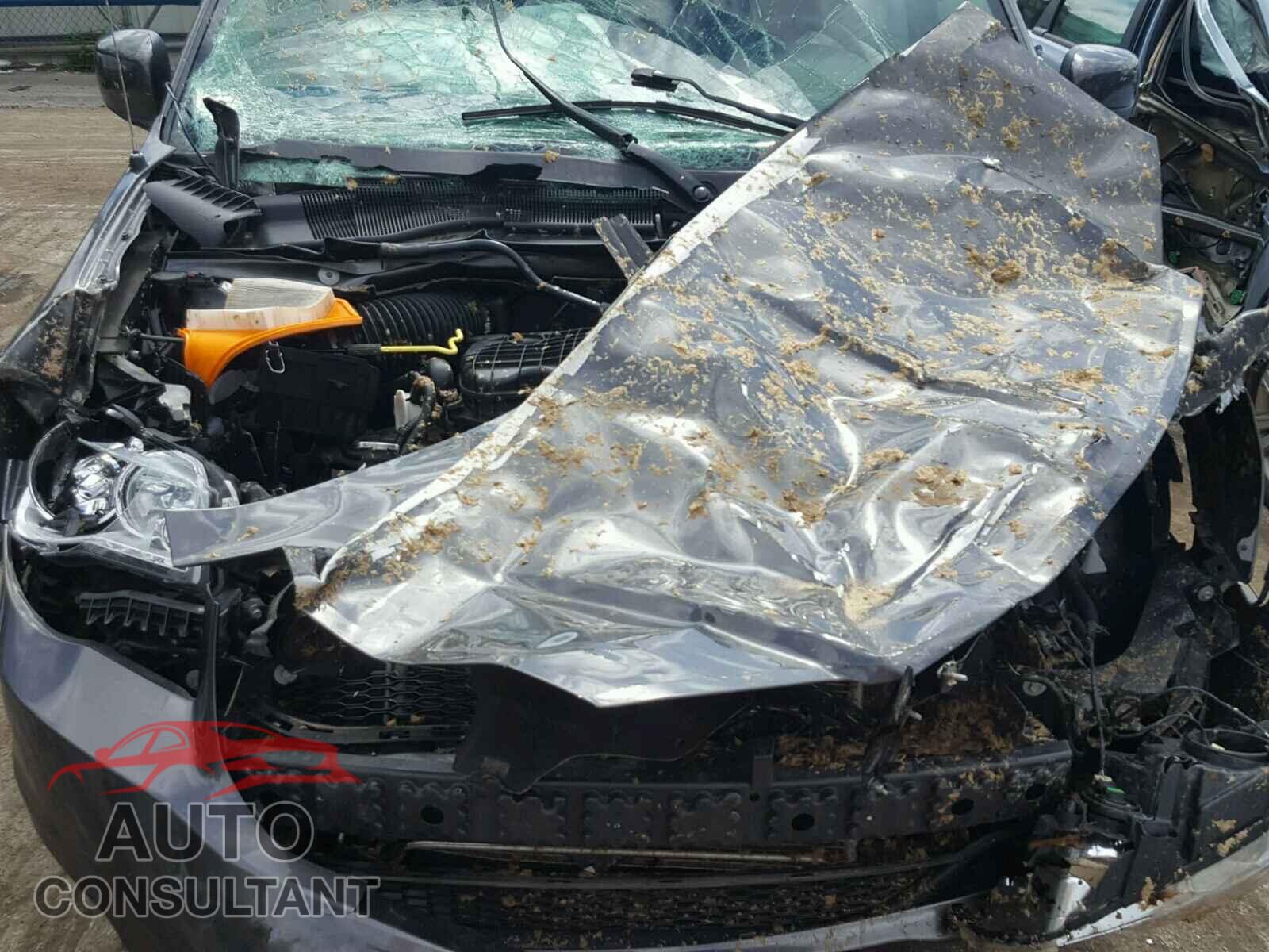 DODGE CARAVAN 2016 - 2C4RDGCG4GR273875