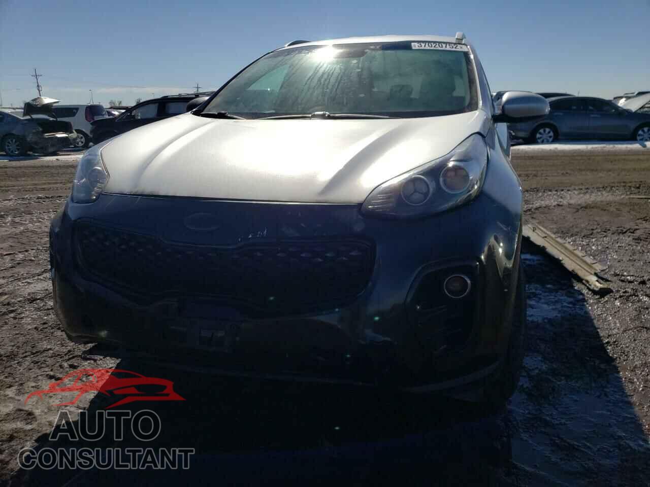 KIA SPORTAGE 2017 - KNDPMCAC2H7273151