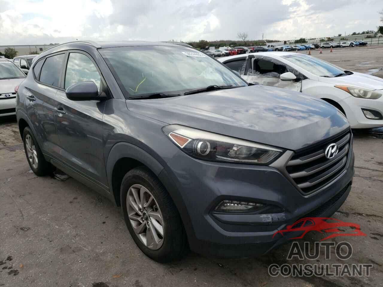 HYUNDAI TUCSON 2016 - KM8J33A44GU115360