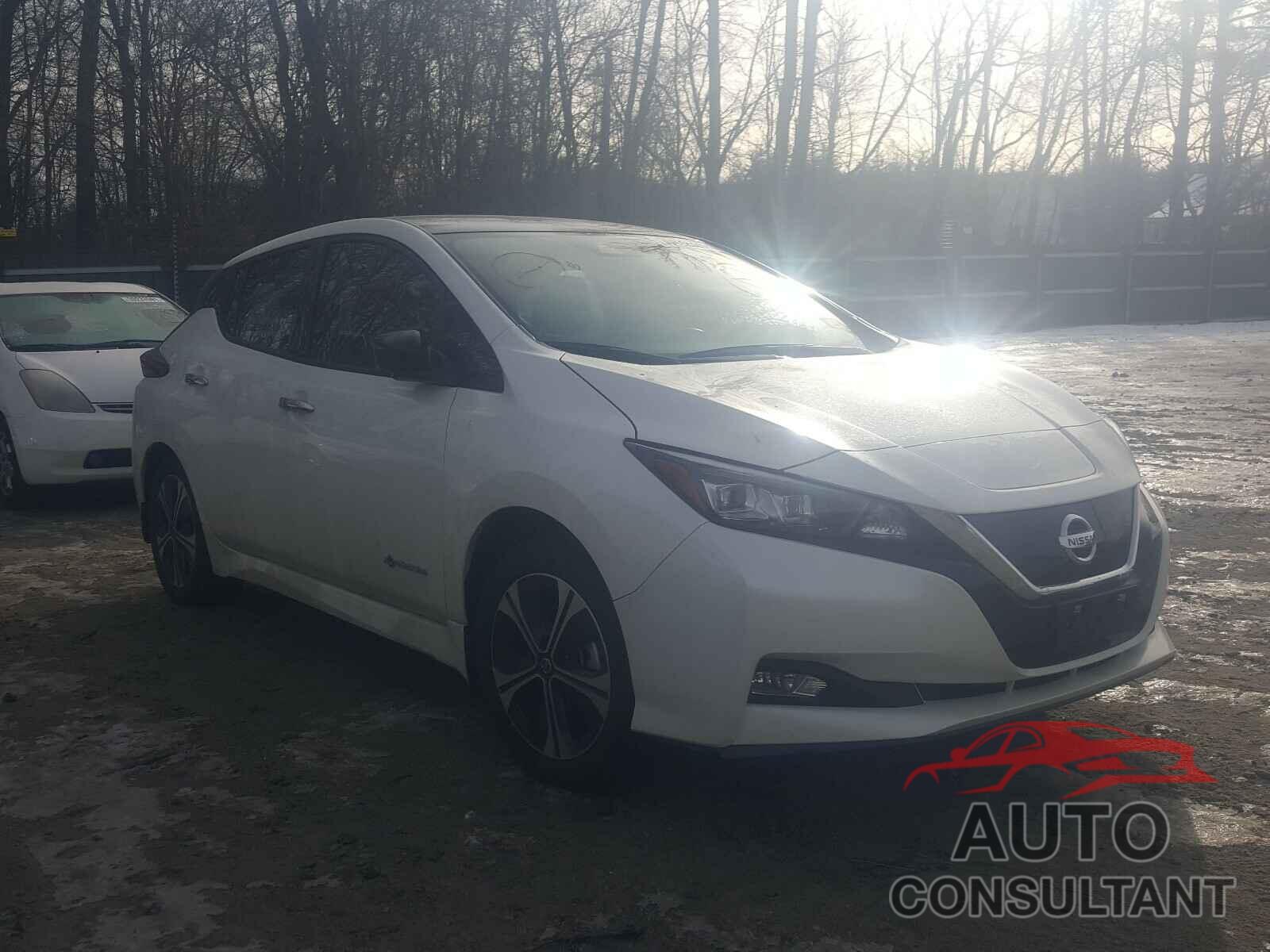 NISSAN LEAF 2019 - 1N4BZ1CP8KC317982