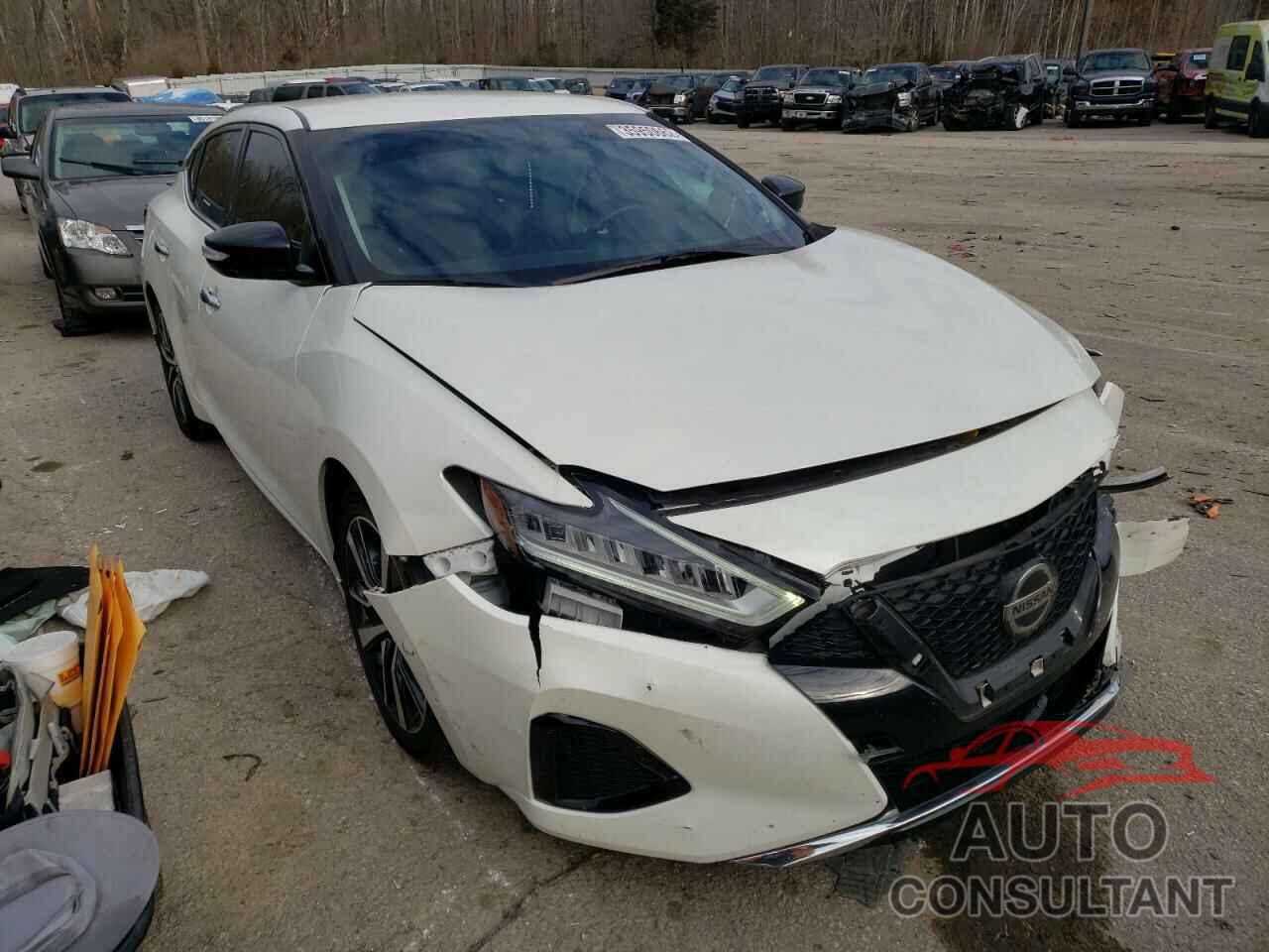 NISSAN MAXIMA 2019 - 1N4AA6AV2KC381470